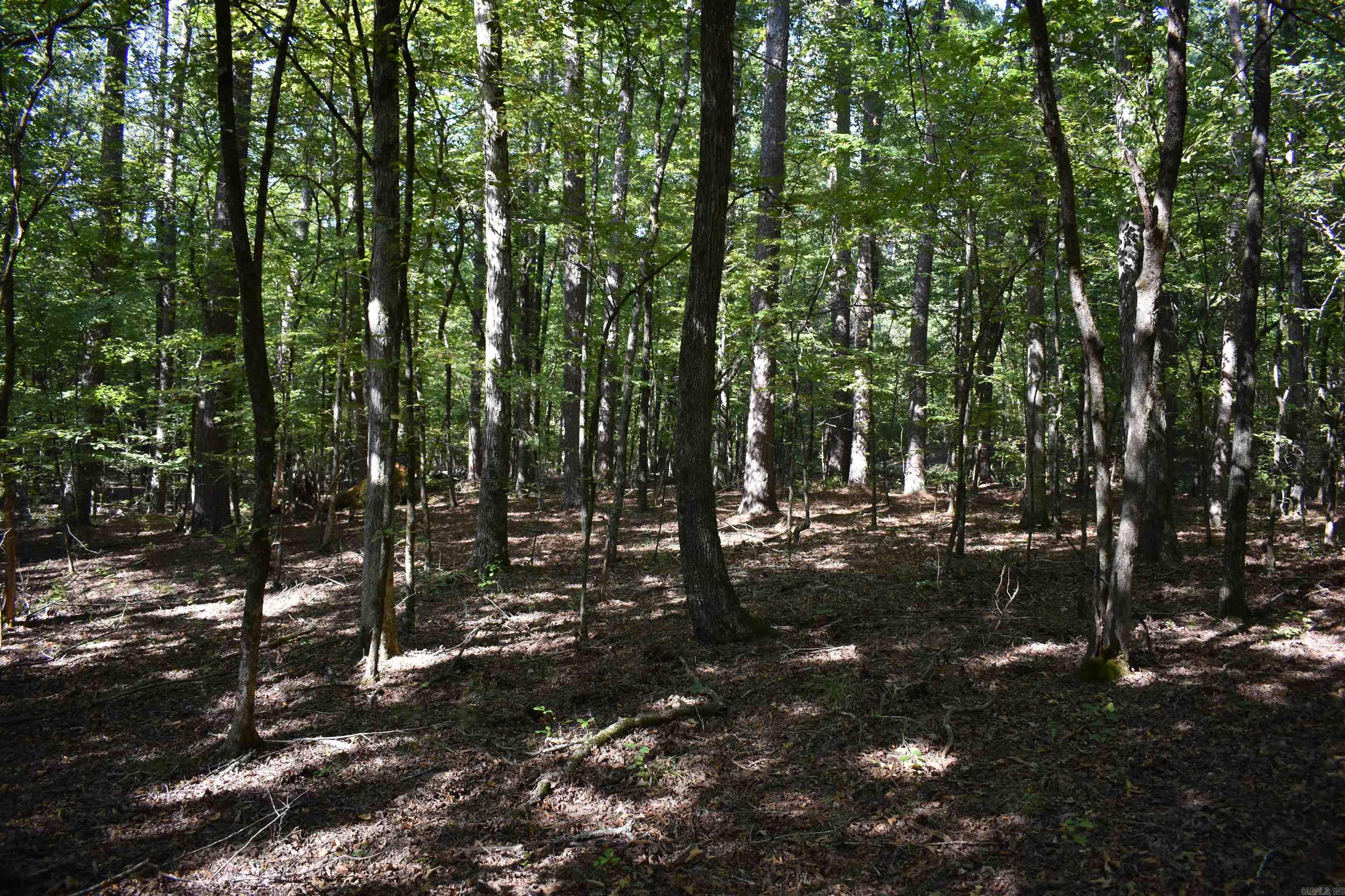 0000 FS RD 795  Bluffton, AR