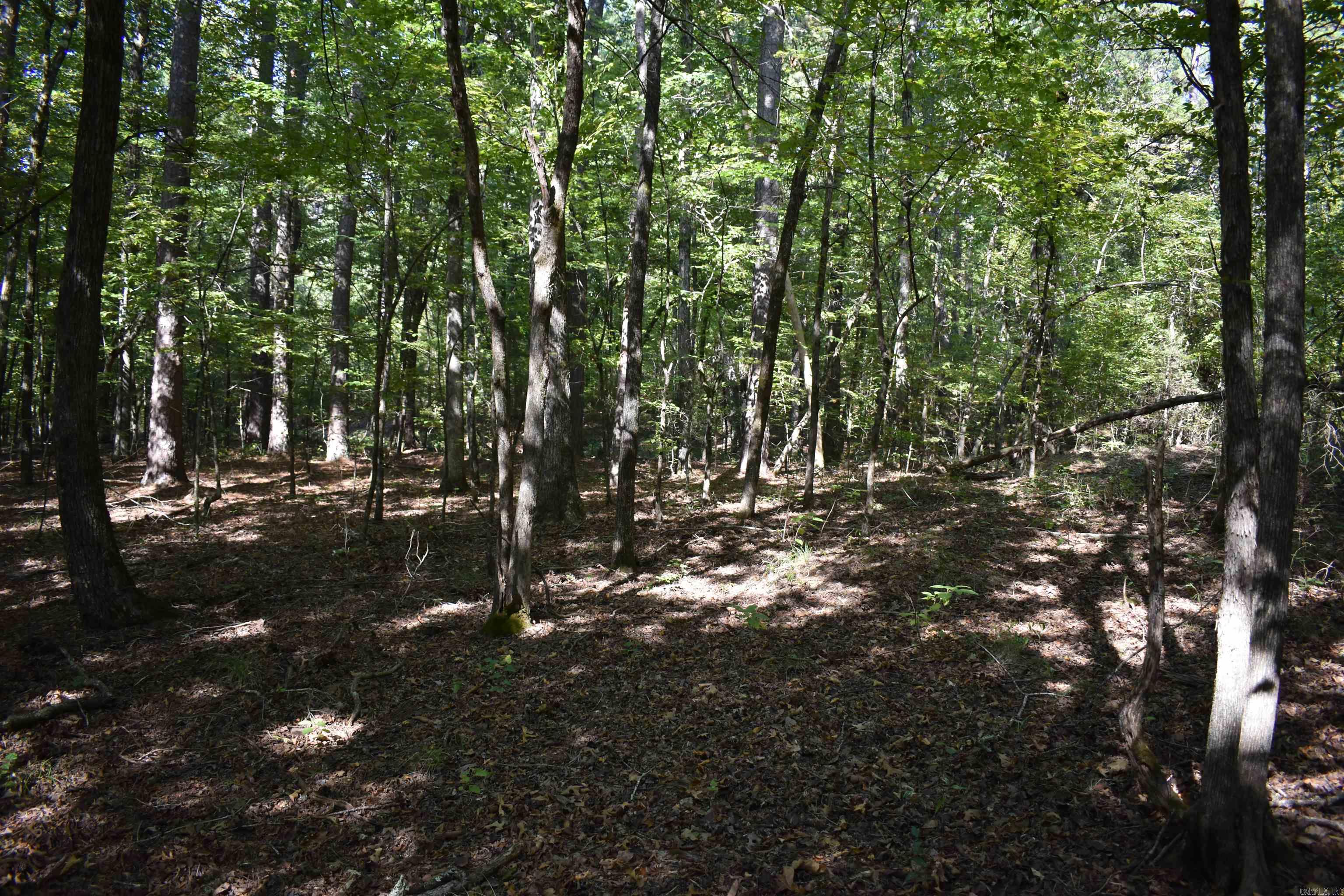 0000 FS RD 795  Bluffton, AR