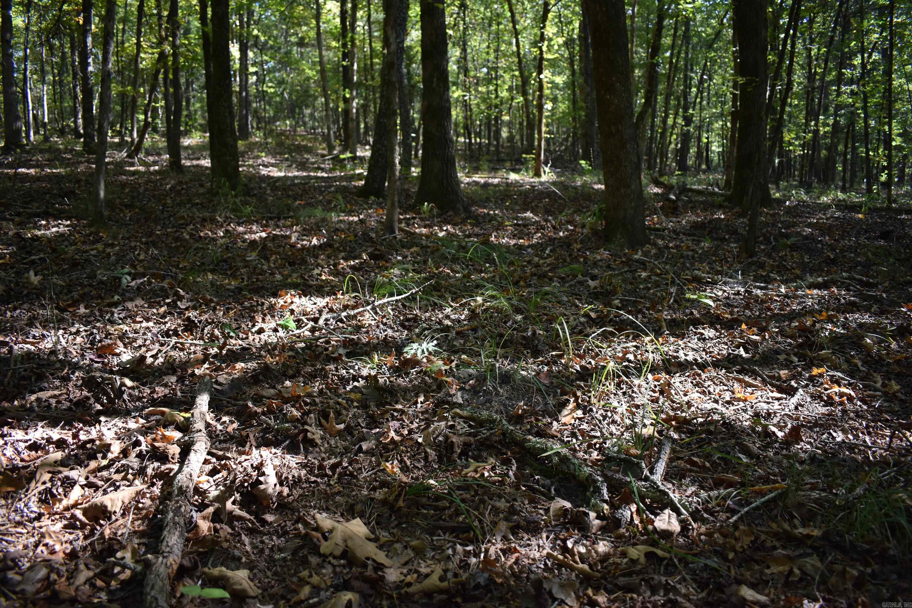 0000 FS RD 795  Bluffton, AR