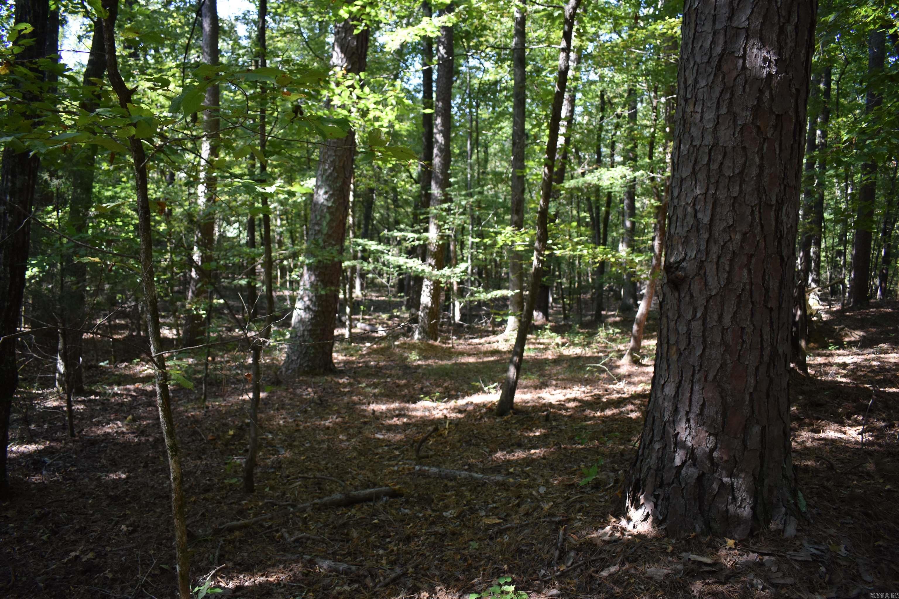 0000 FS RD 795  Bluffton, AR