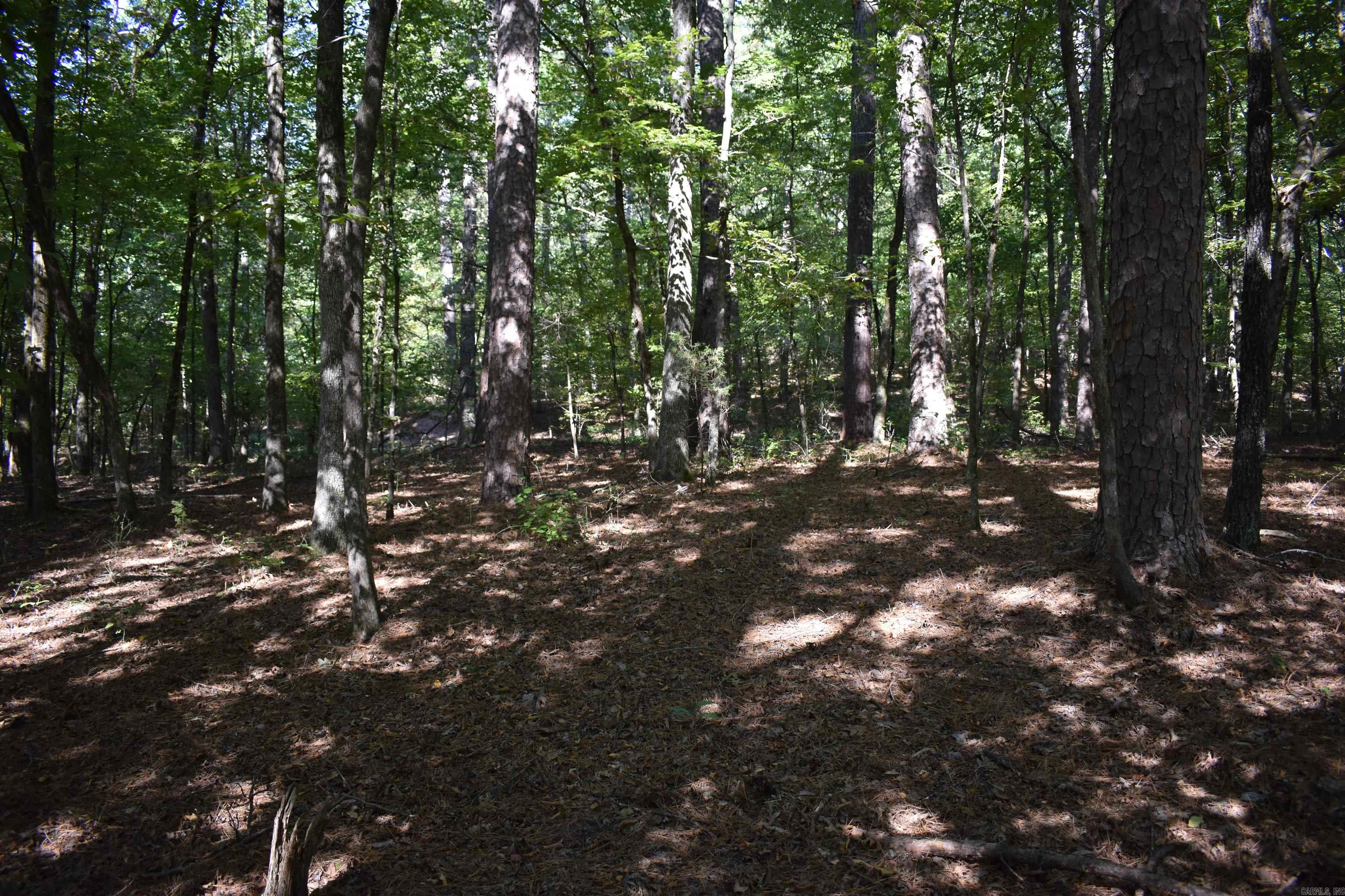 0000 FS RD 795  Bluffton, AR