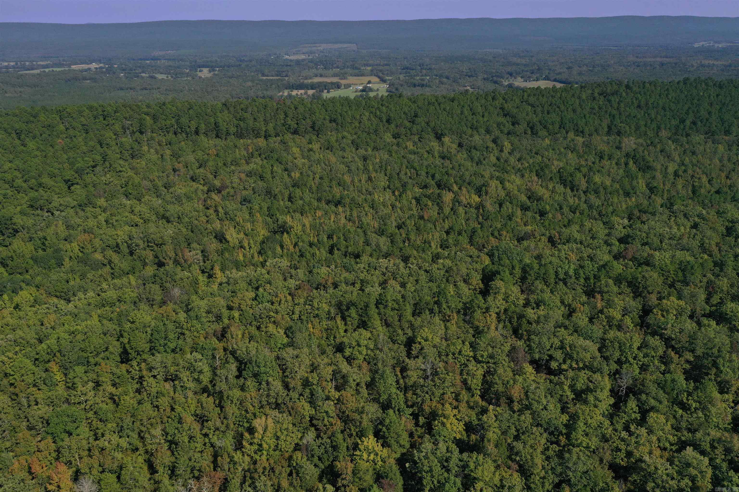 0000 FS RD 795  Bluffton, AR