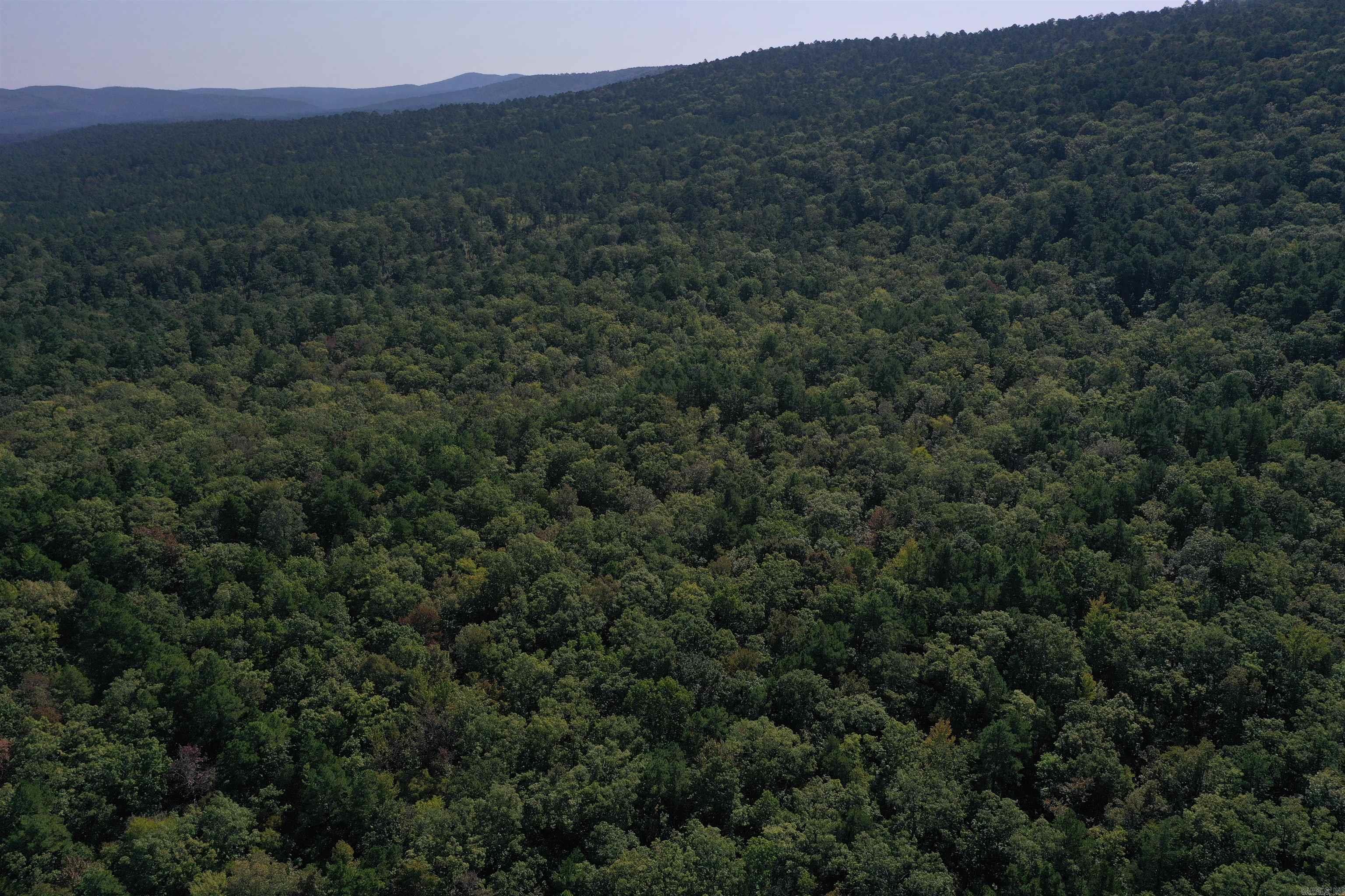 0000 FS RD 795  Bluffton, AR