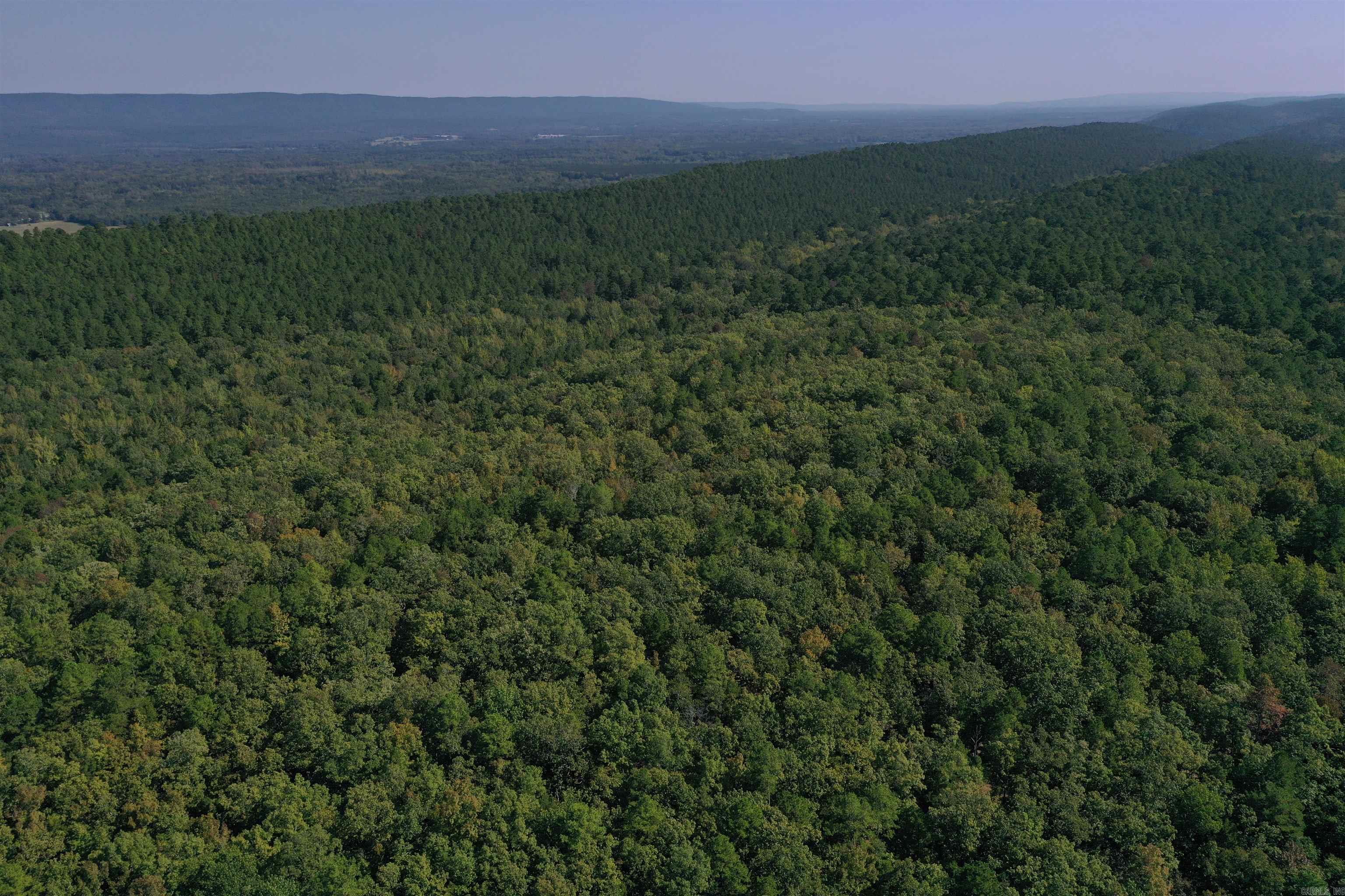 0000 FS RD 795  Bluffton, AR