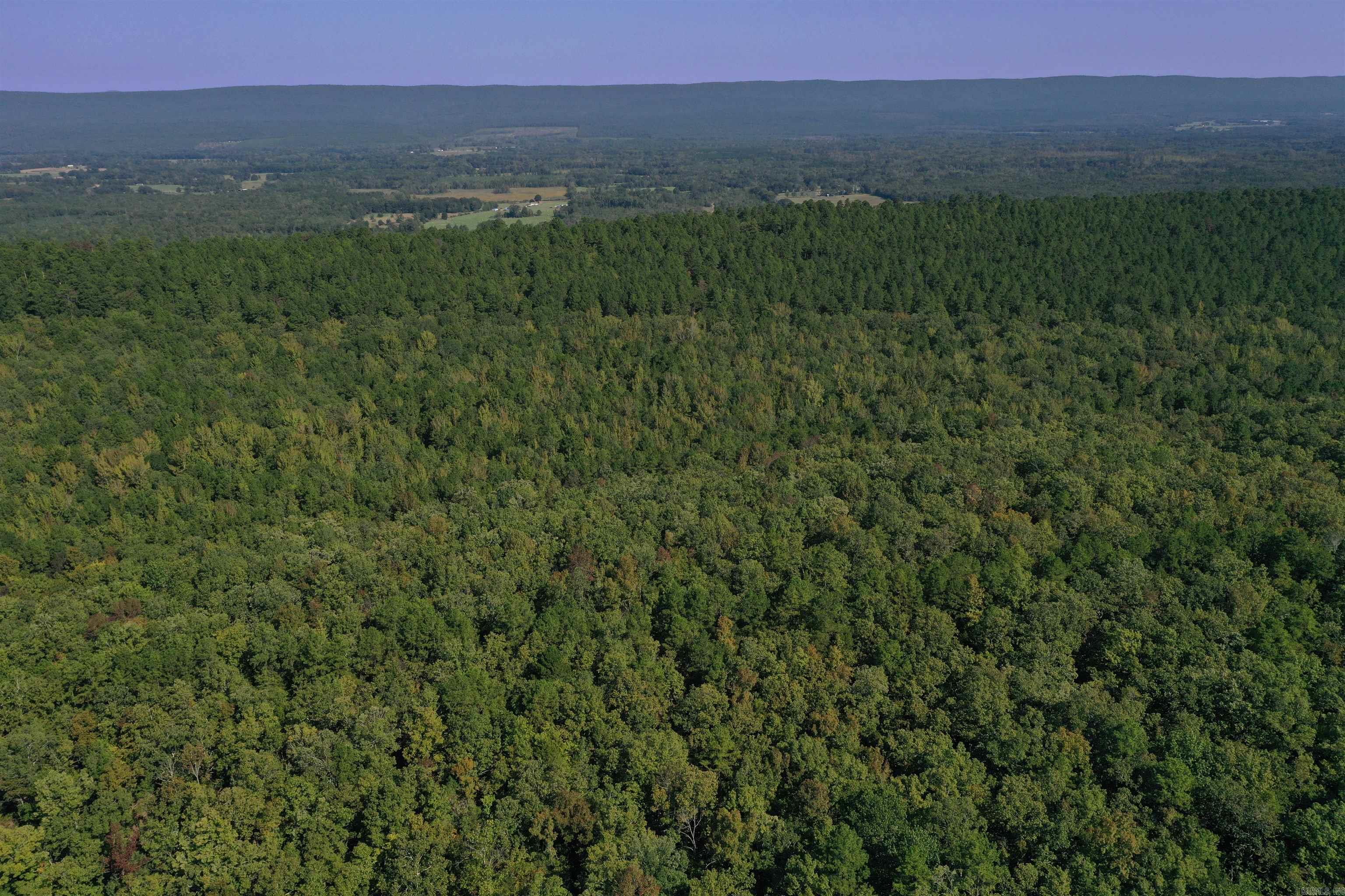 0000 FS RD 795  Bluffton, AR