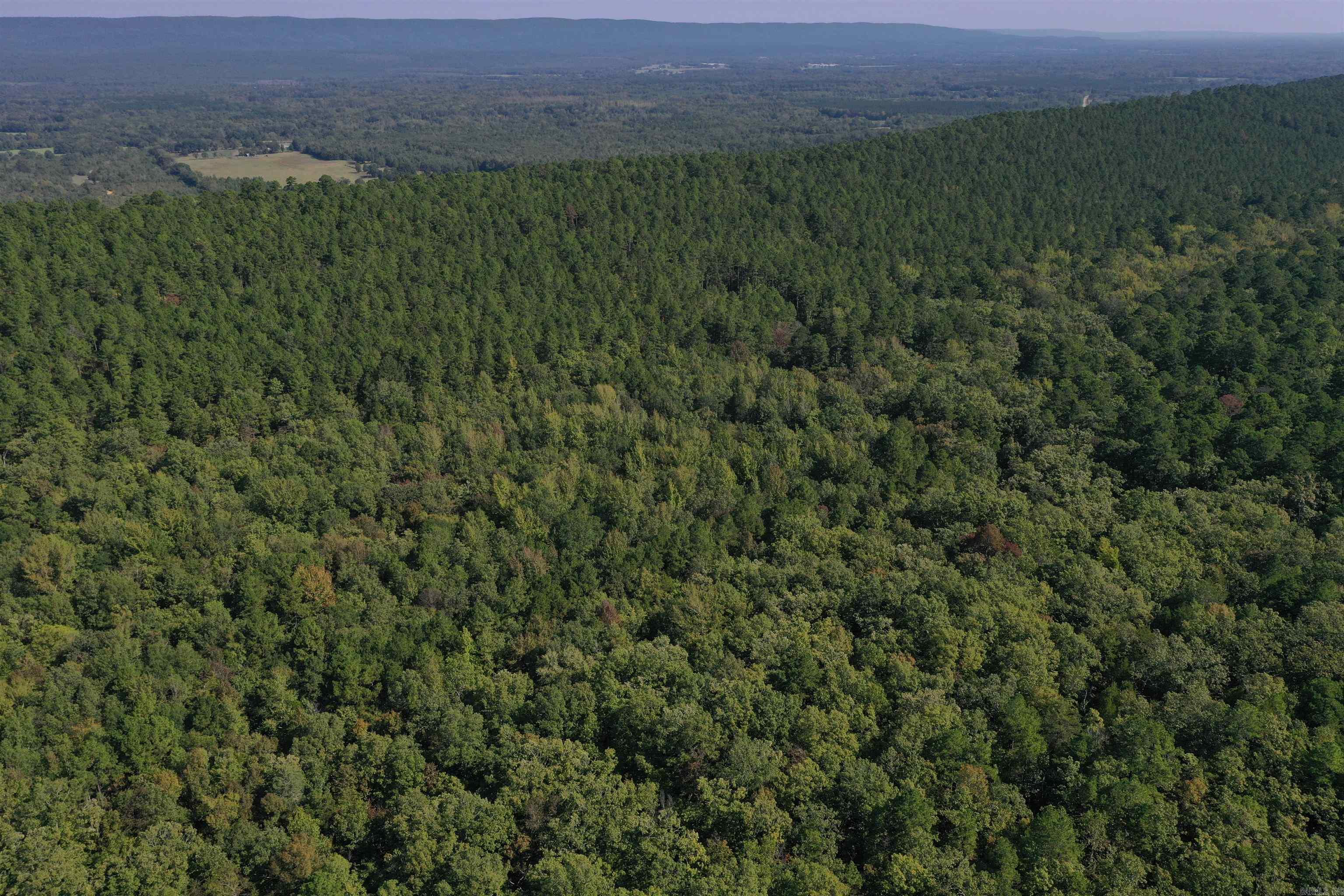 0000 FS RD 795  Bluffton, AR