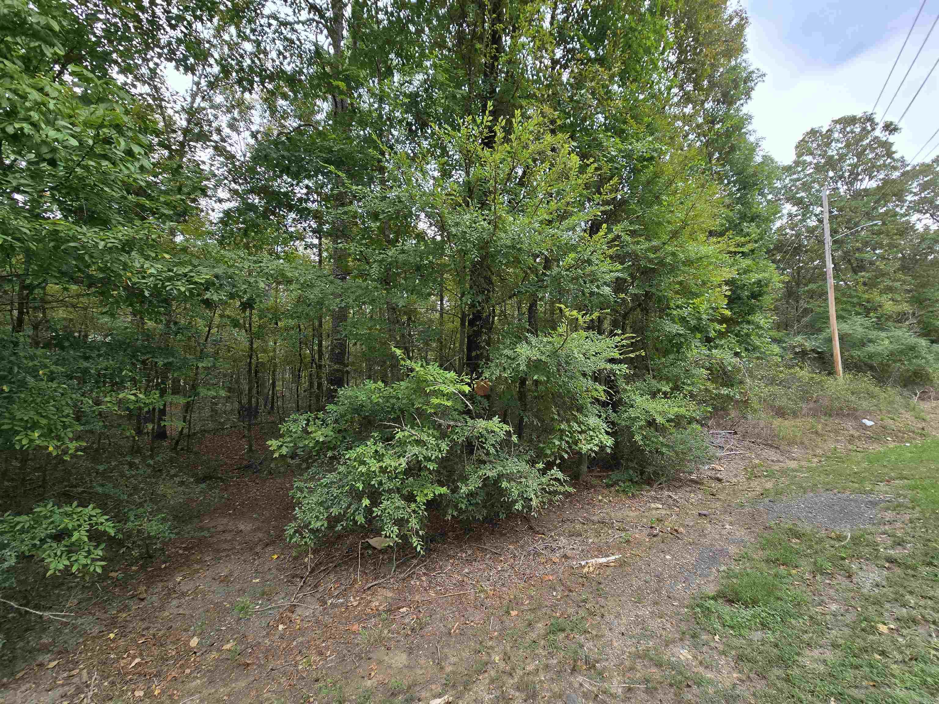 000 W 36th  Little Rock, AR