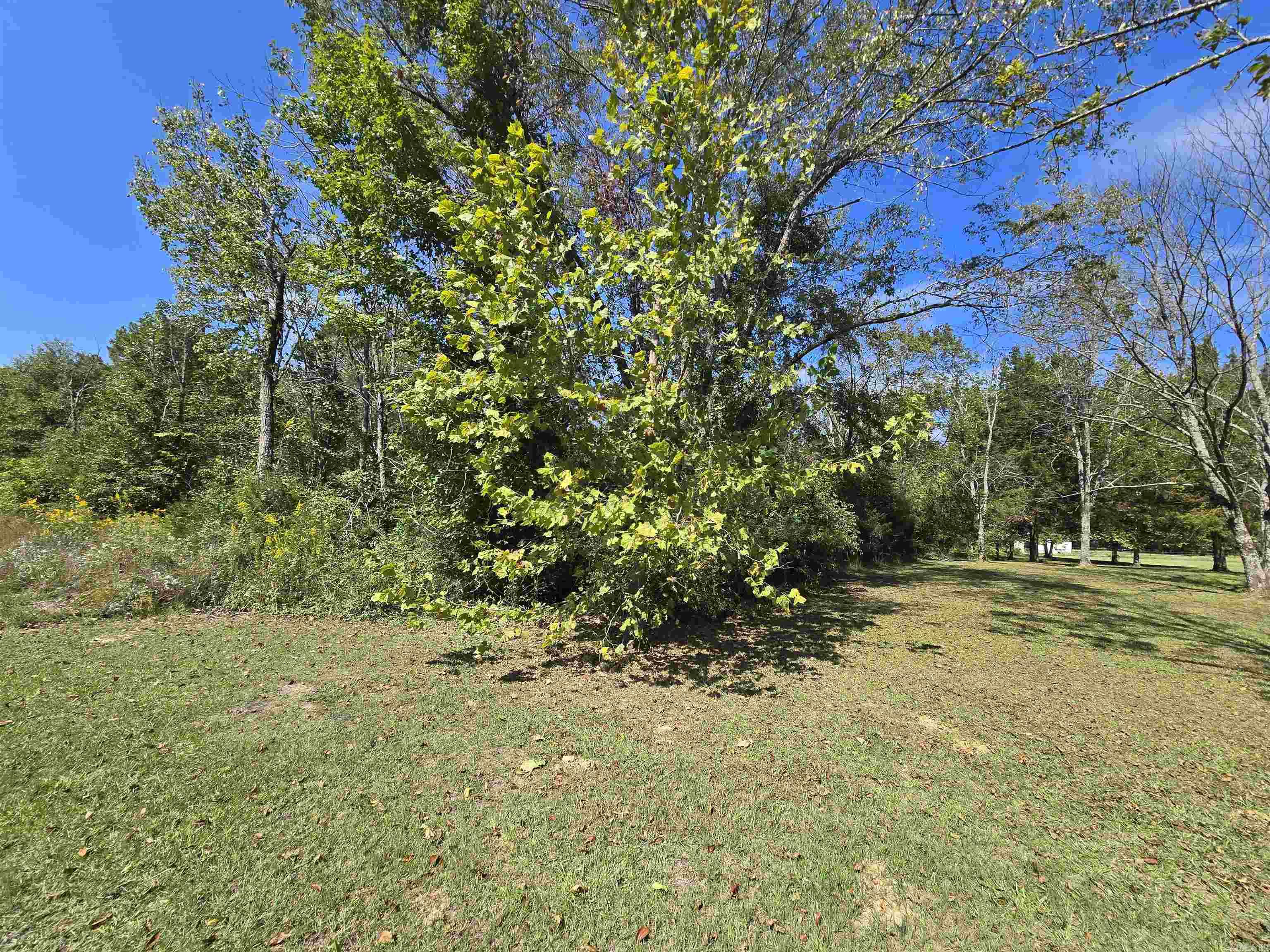 000 Saltillo  Conway, AR