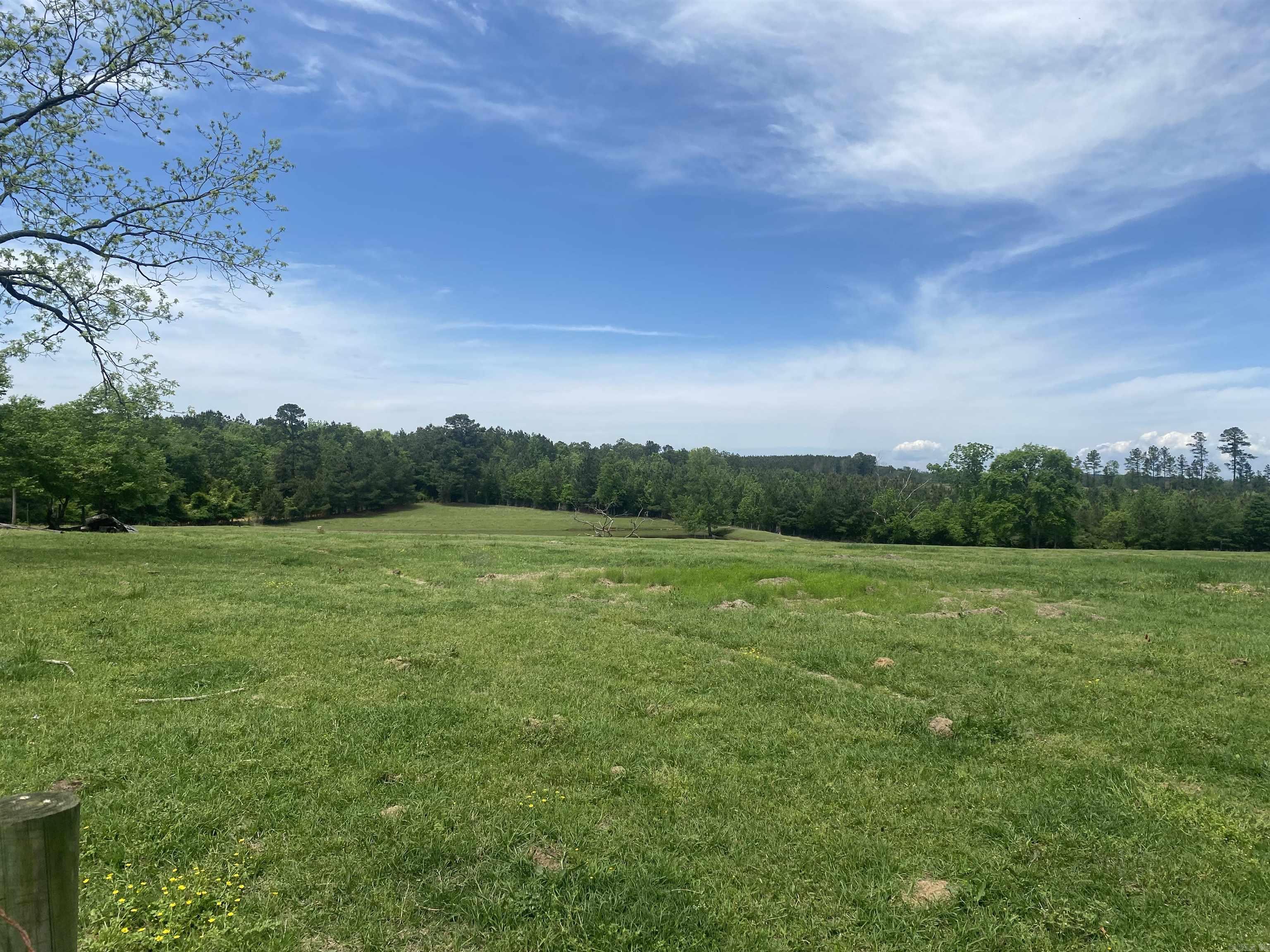 239 Hempstead 347 Nashville, AR 71852