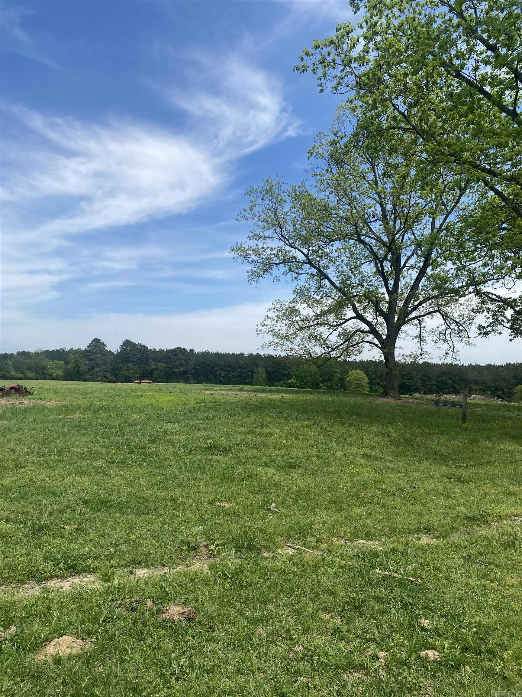 239 Hempstead 347 Nashville, AR 71852