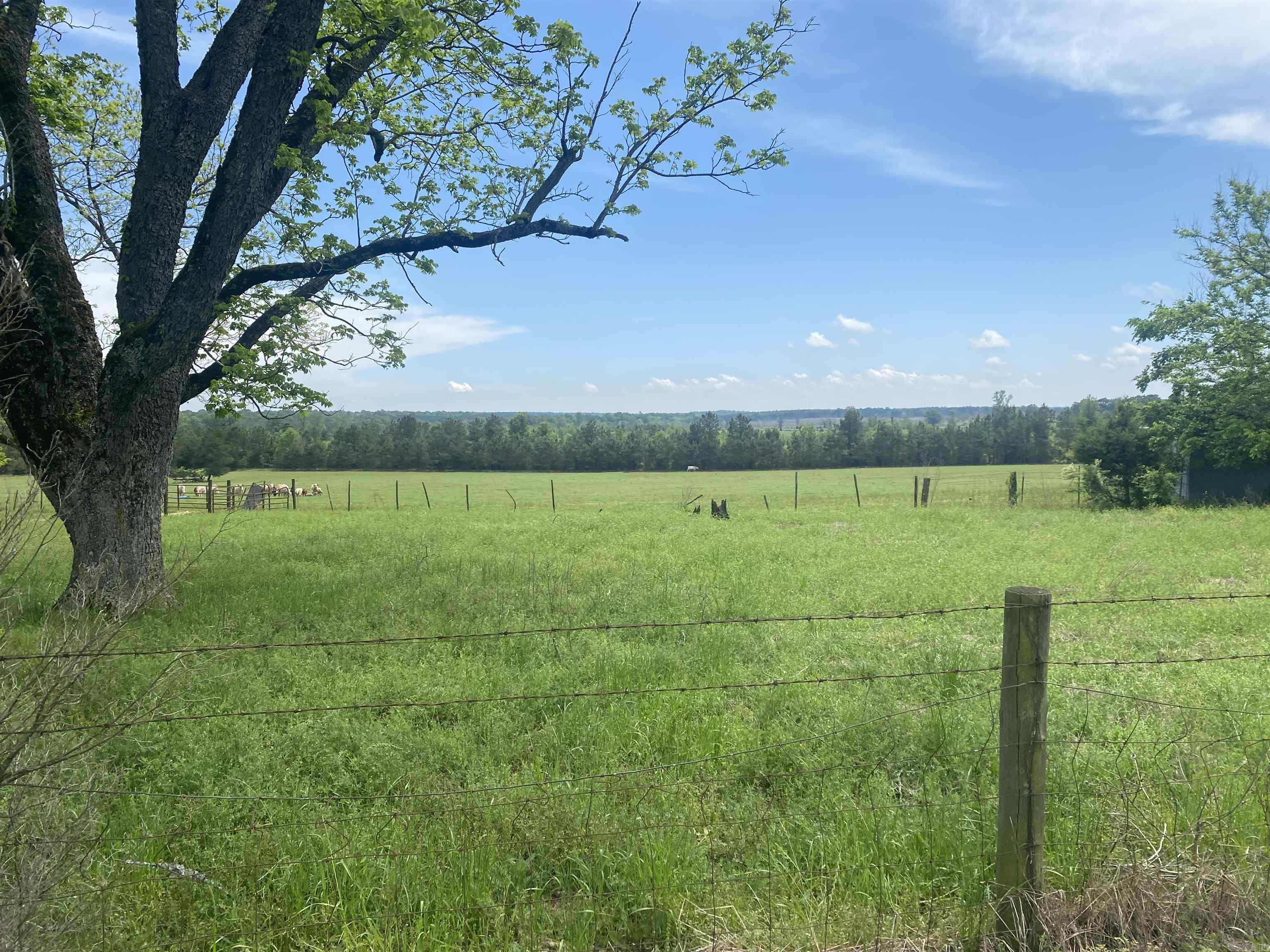 239 Hempstead 347 Nashville, AR 71852