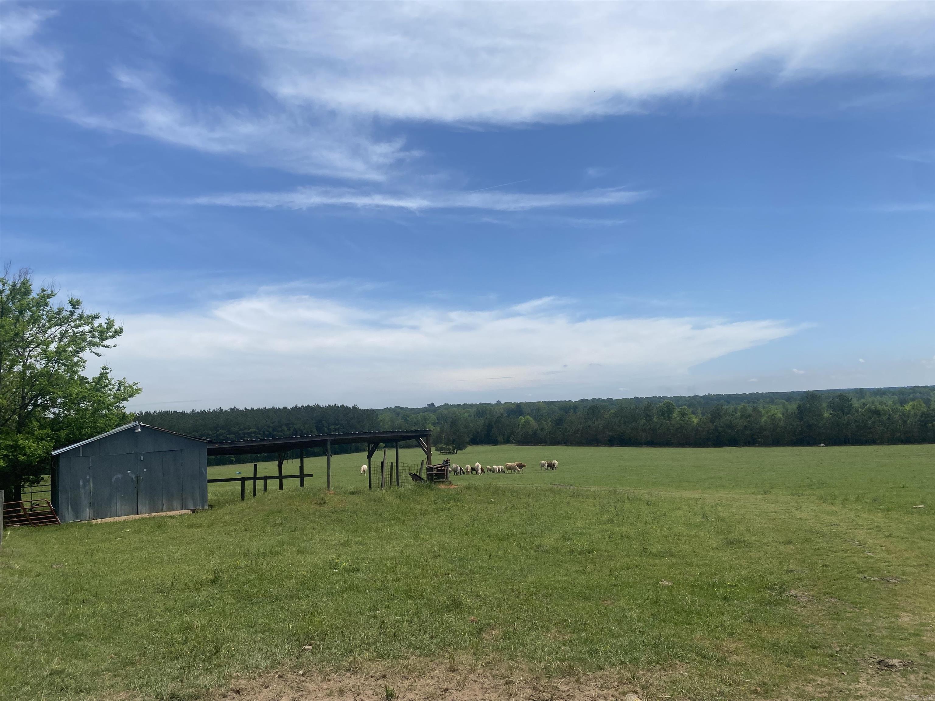 239 Hempstead 347 Nashville, AR 71852