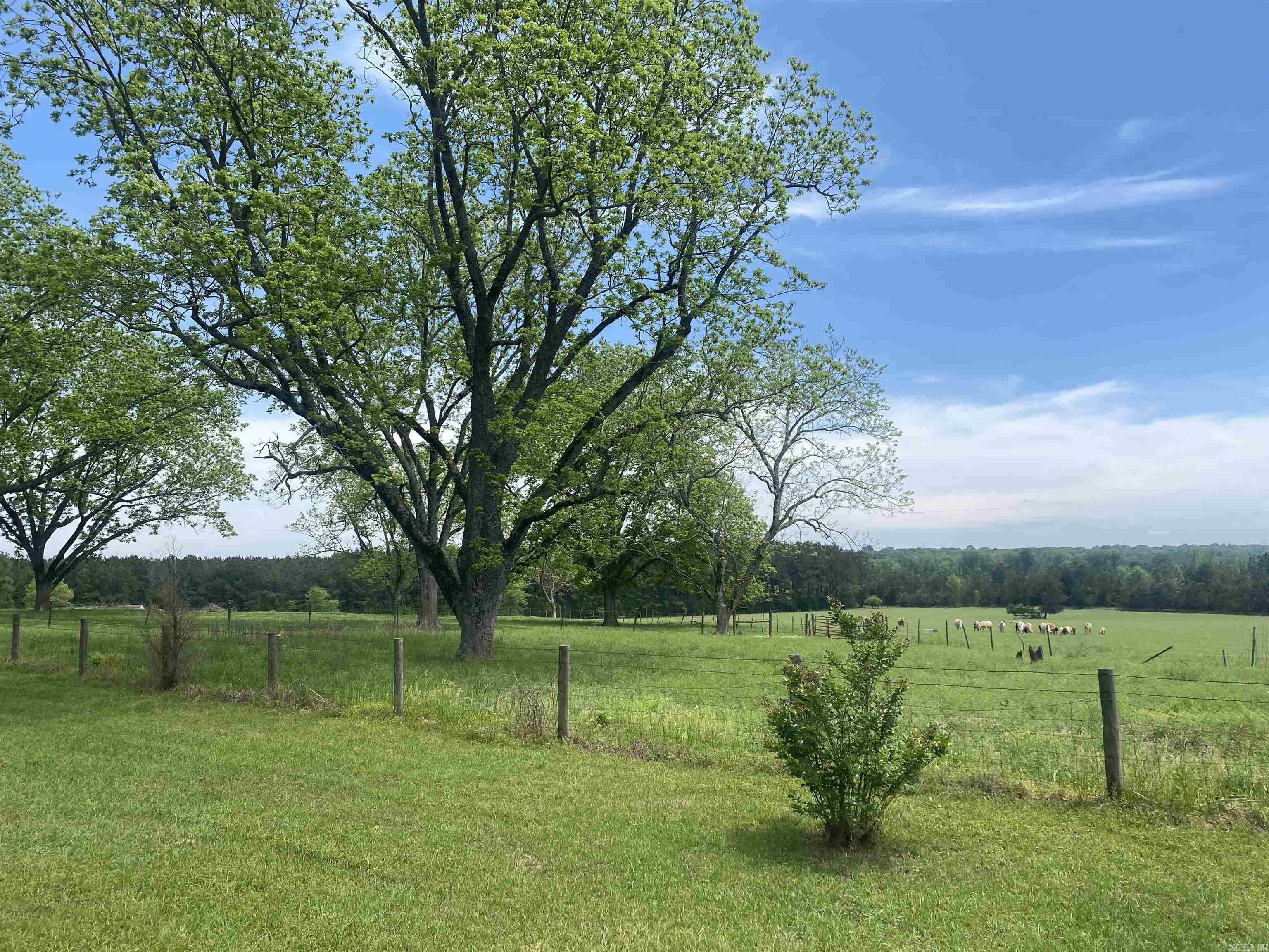 239 Hempstead 347 Nashville, AR 71852