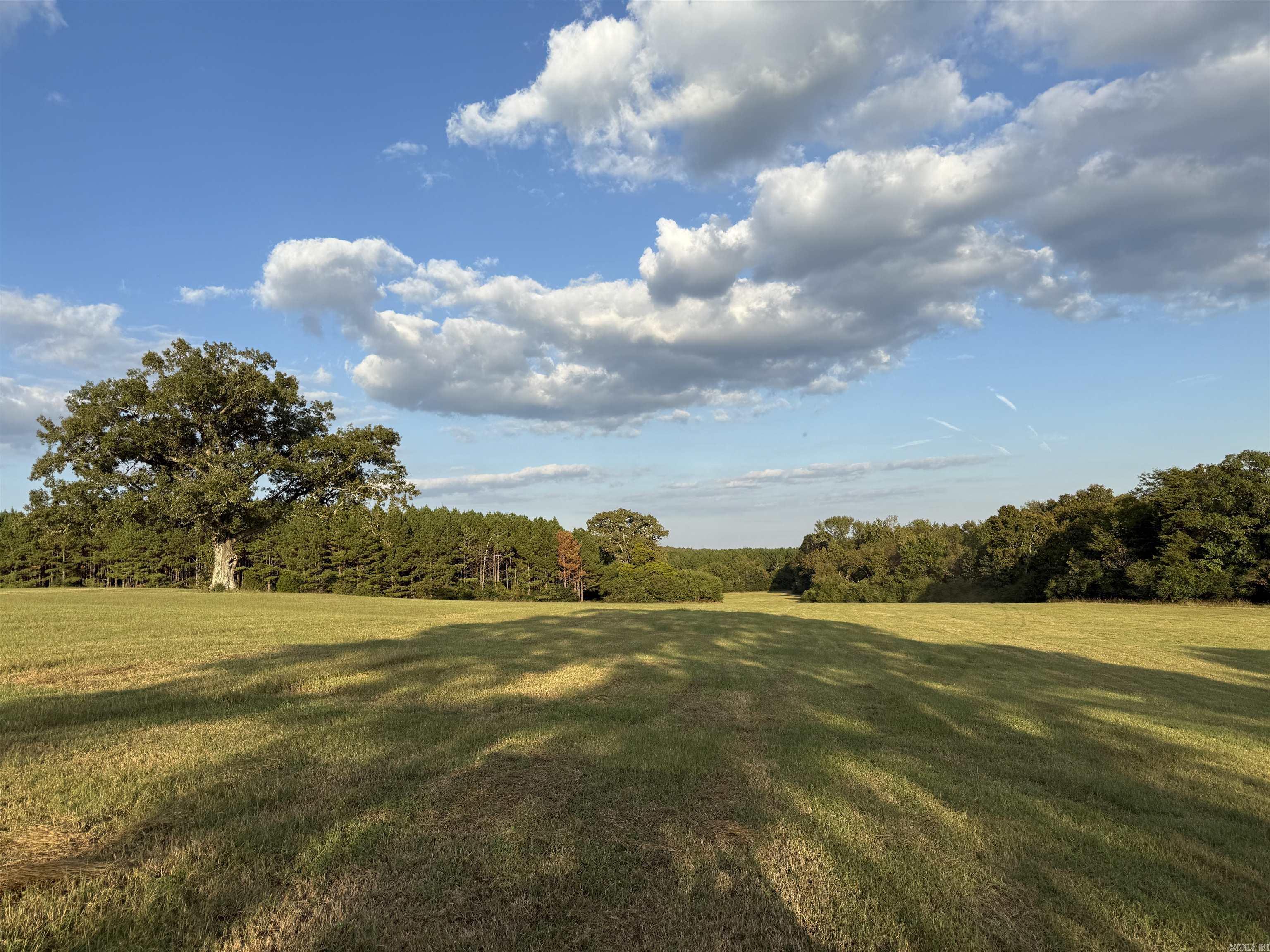 244 Denison Rd.  Rose Bud, AR