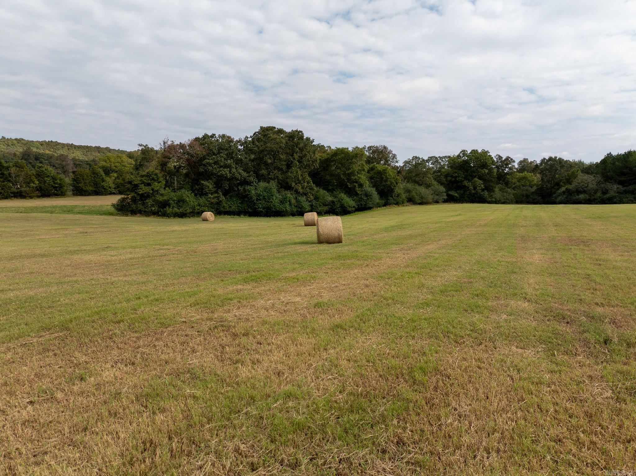 244 Denison Rd.  Rose Bud, AR