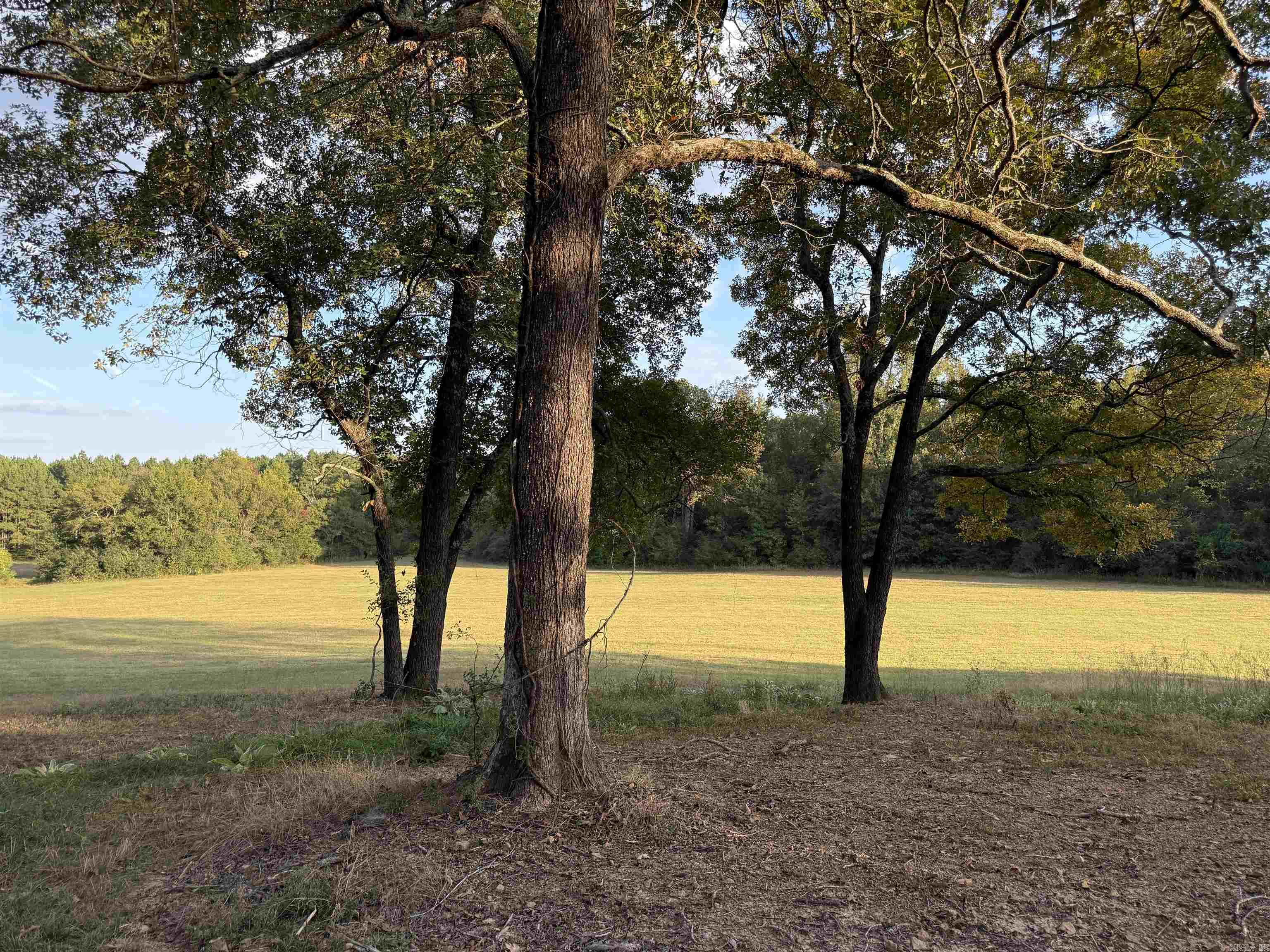 244 Denison Rd.  Rose Bud, AR