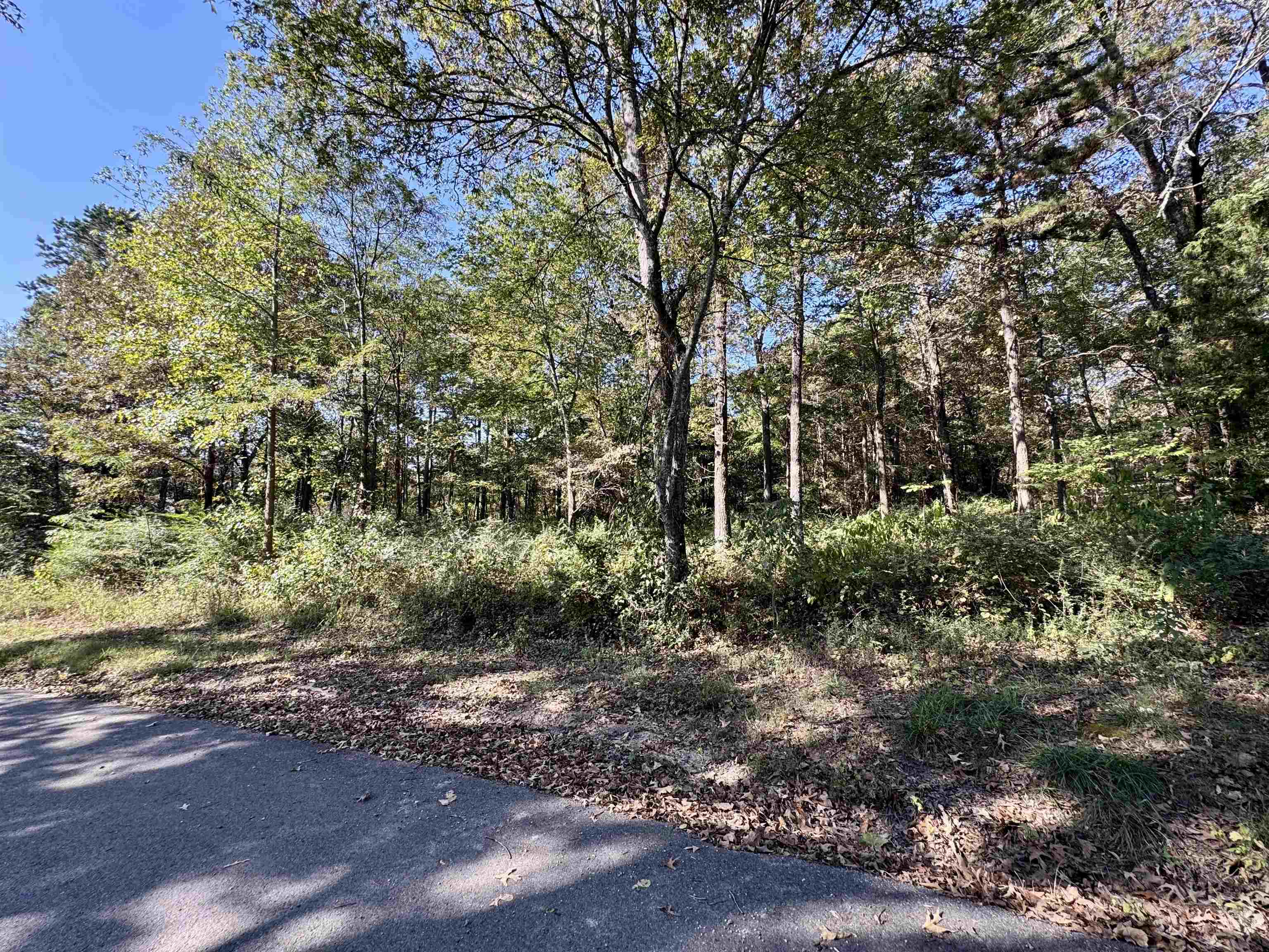 Lot 16 Camp Road  Melbourne, AR