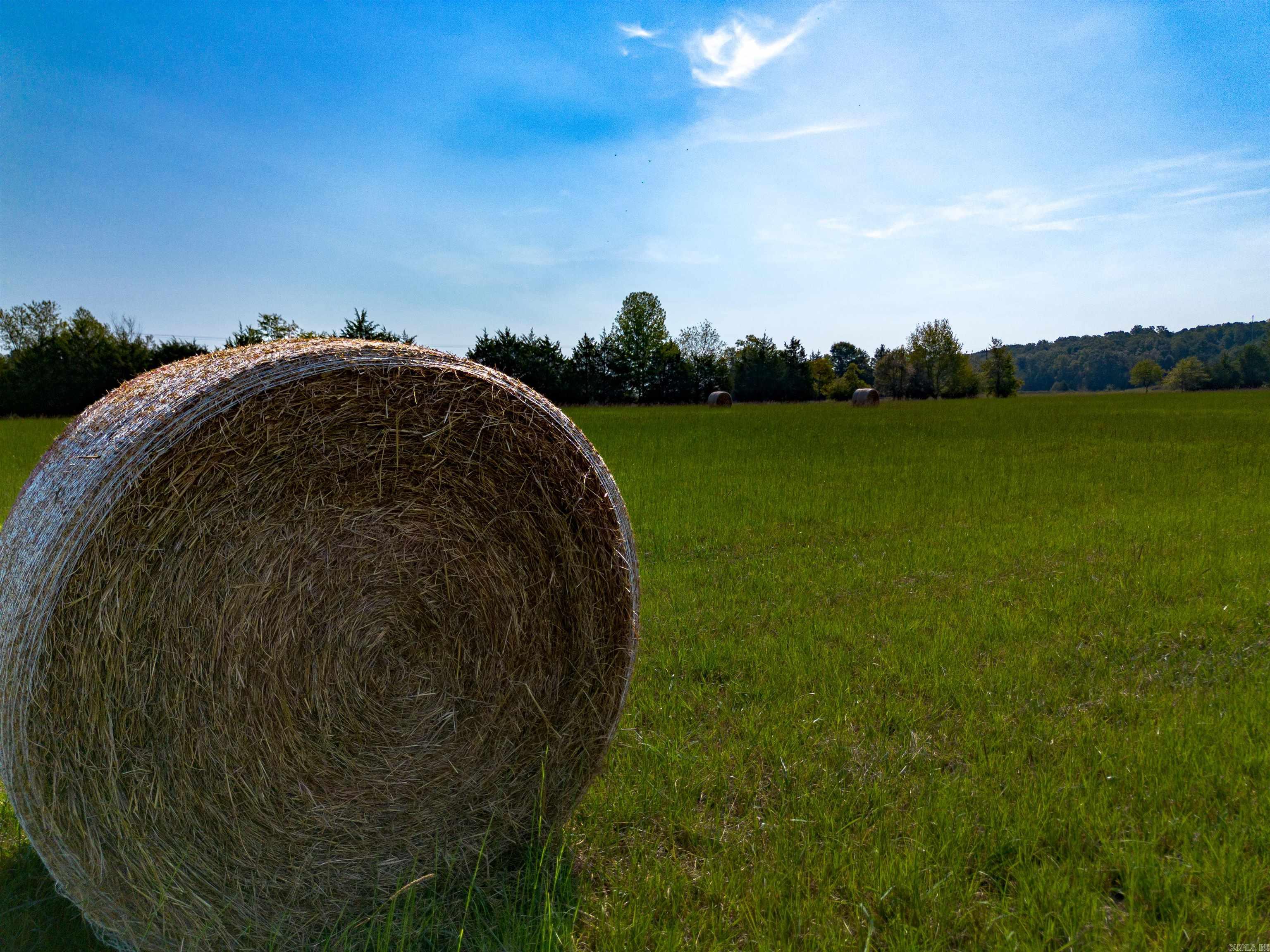 272 Hwy. 31  Romance, AR