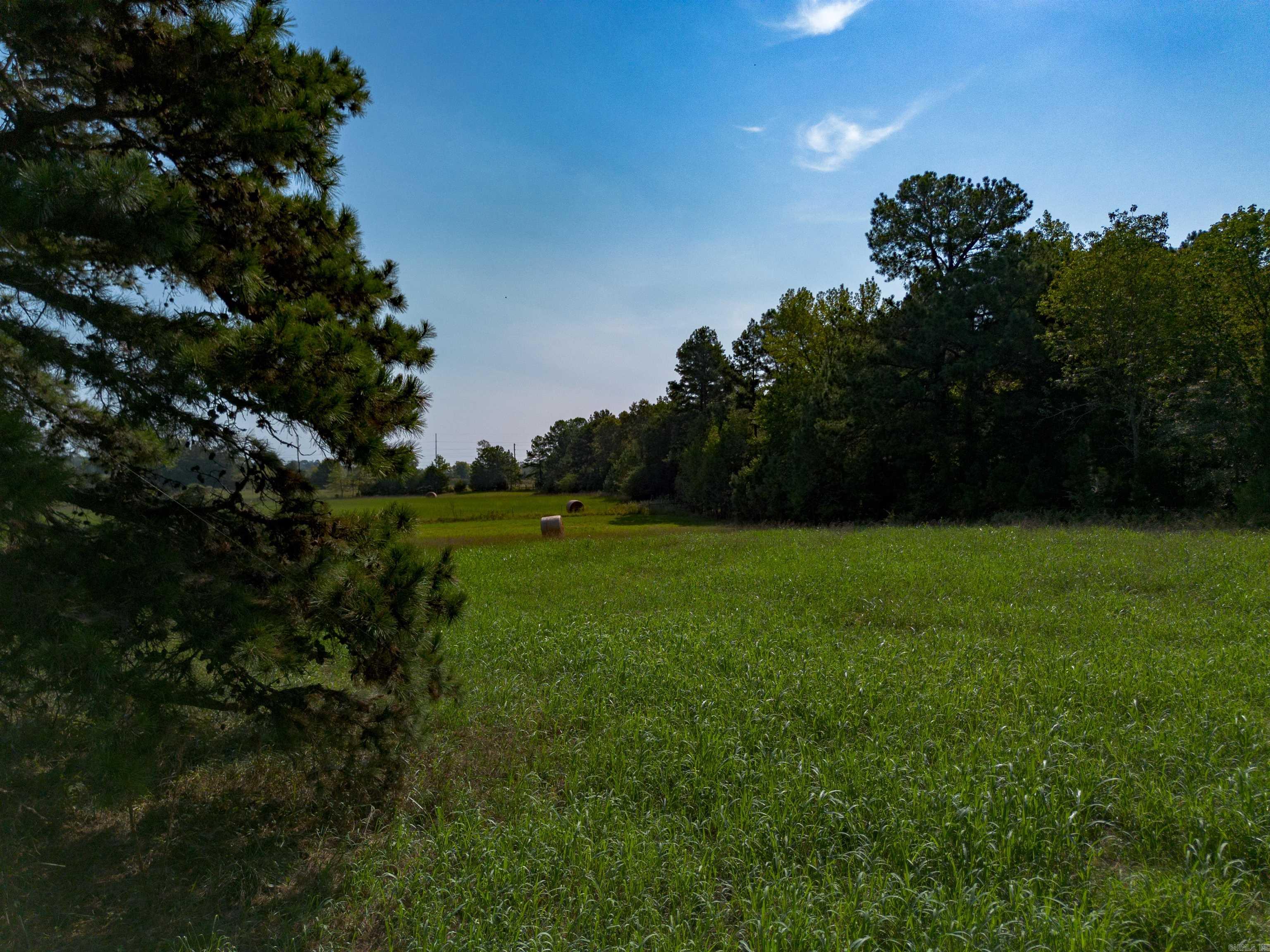 272 Hwy. 31  Romance, AR