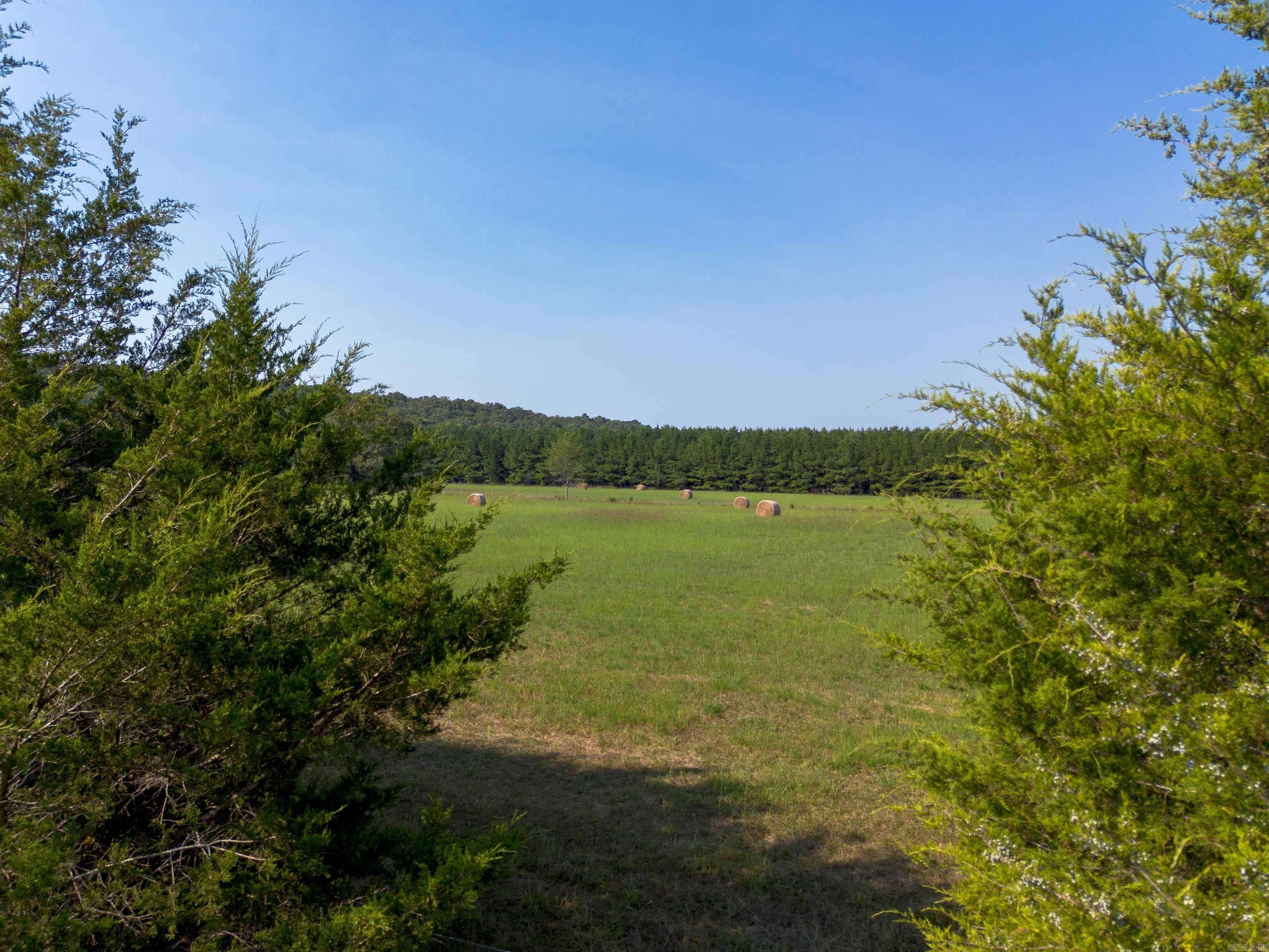 272 Hwy. 31  Romance, AR