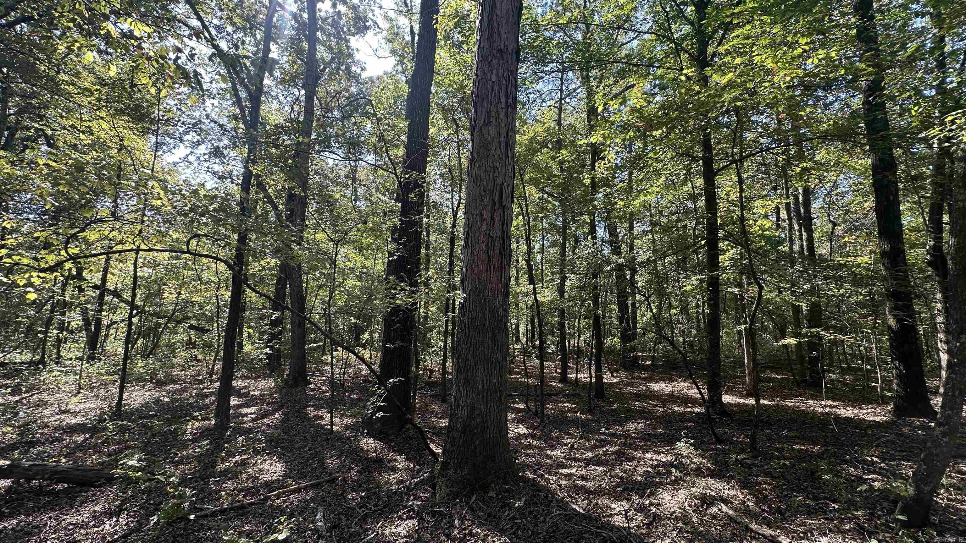 8911 Pine Meadow Dr.  Sulphur Springs, AR