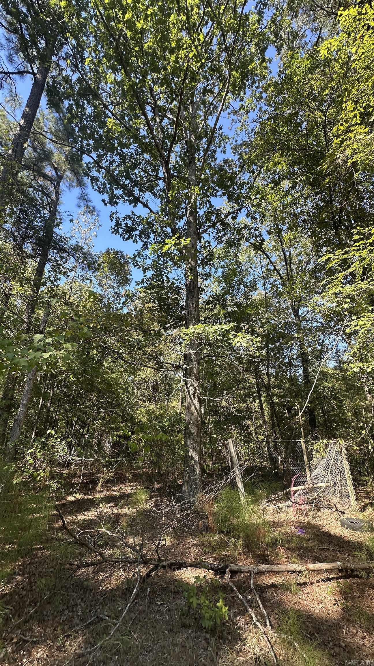 8911 Pine Meadow Dr.  Sulphur Springs, AR