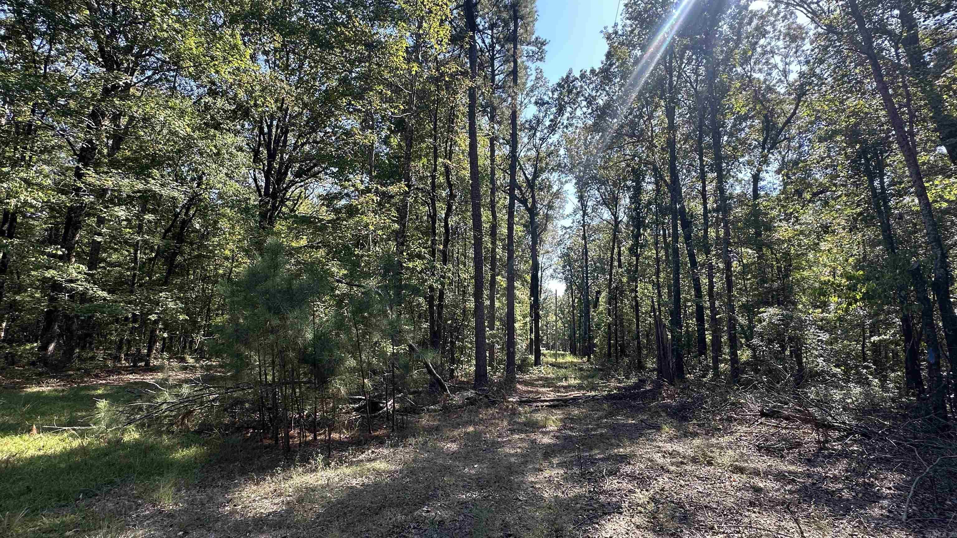 8911 Pine Meadow Dr.  Sulphur Springs, AR