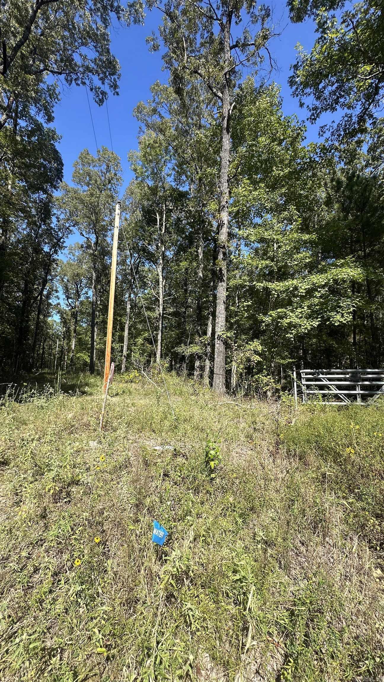 8911 Pine Meadow Dr.  Sulphur Springs, AR