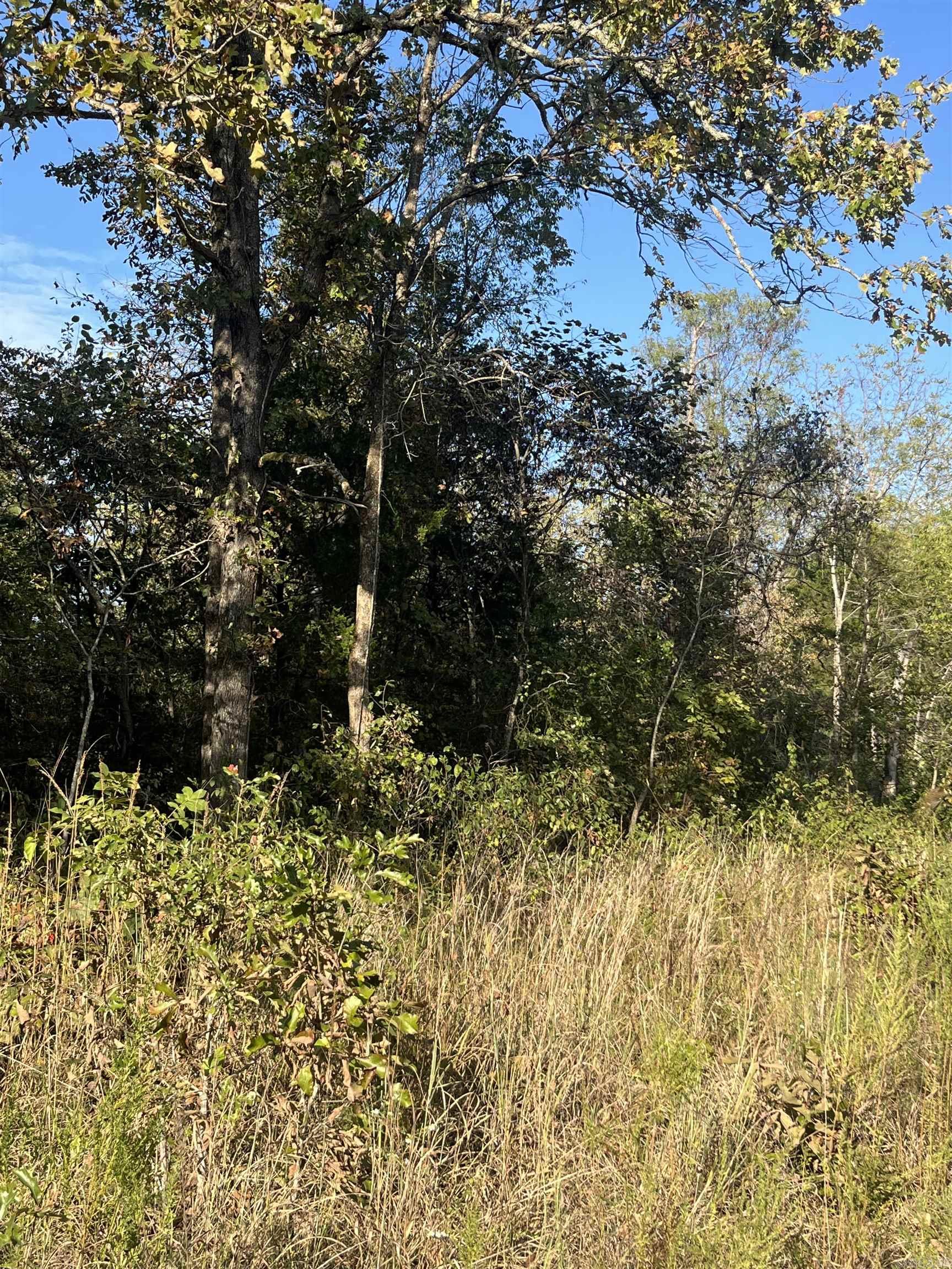 2 Silver Fox Ridge Road  Salem, AR