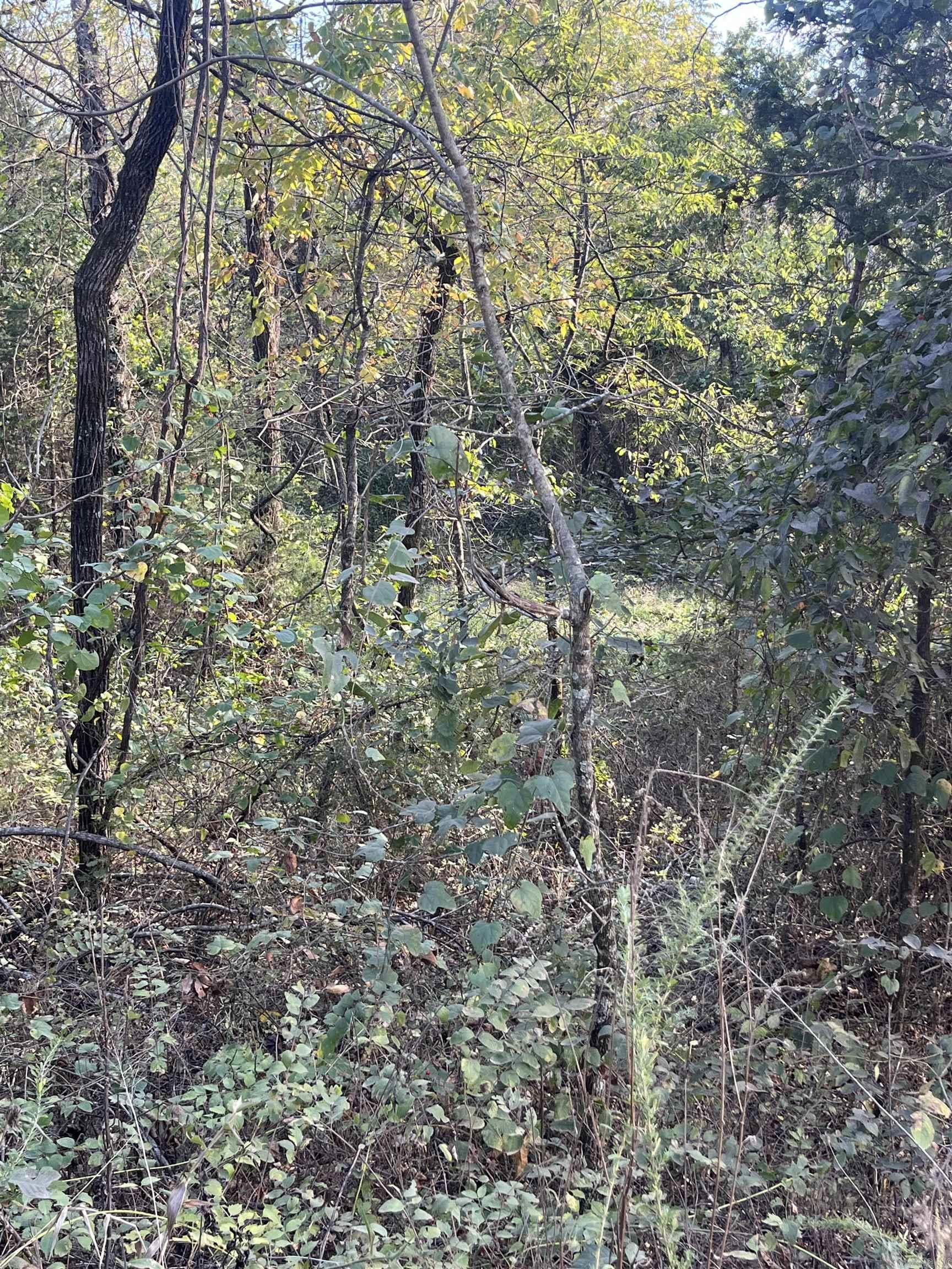 2 Silver Fox Ridge Road  Salem, AR