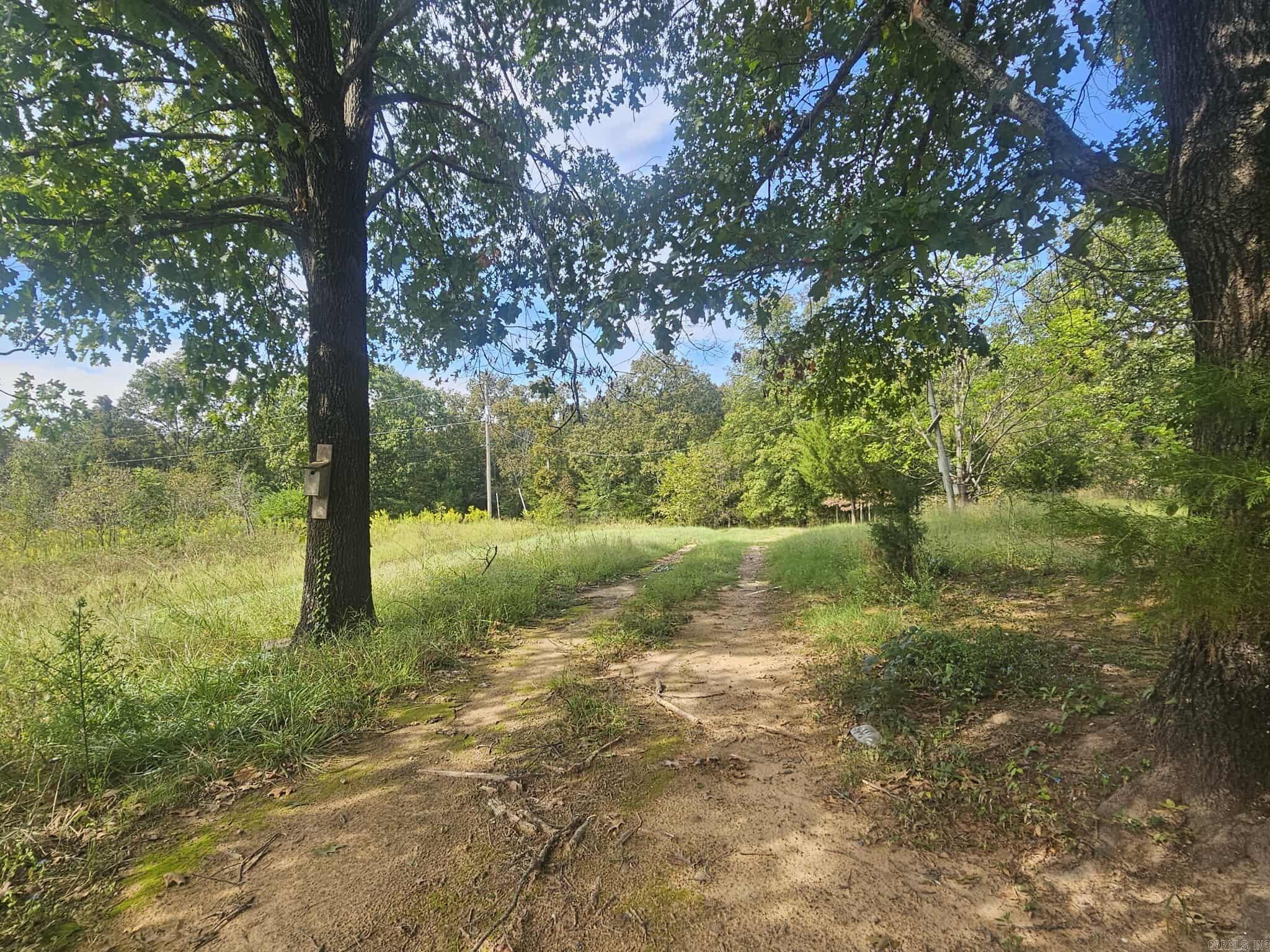 20 Fox Run Lane  Greenbrier, AR