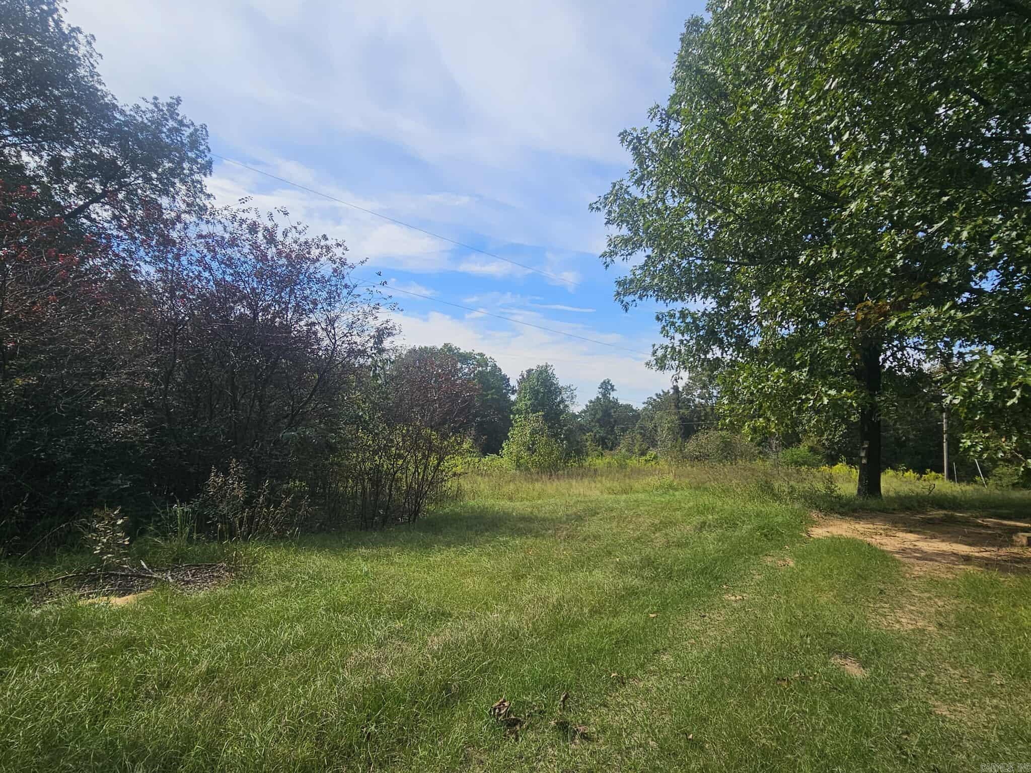 20 Fox Run Lane  Greenbrier, AR