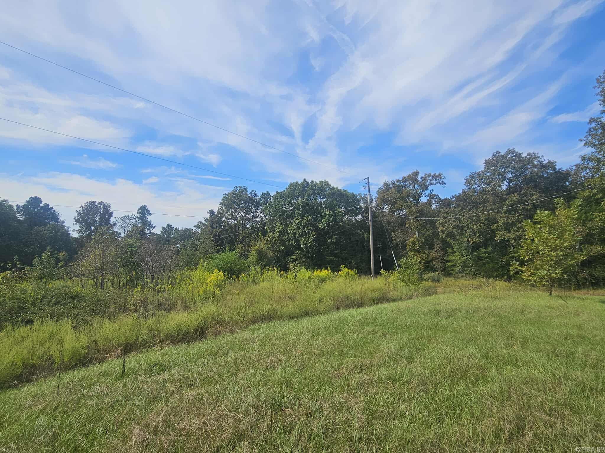 20 Fox Run Lane  Greenbrier, AR