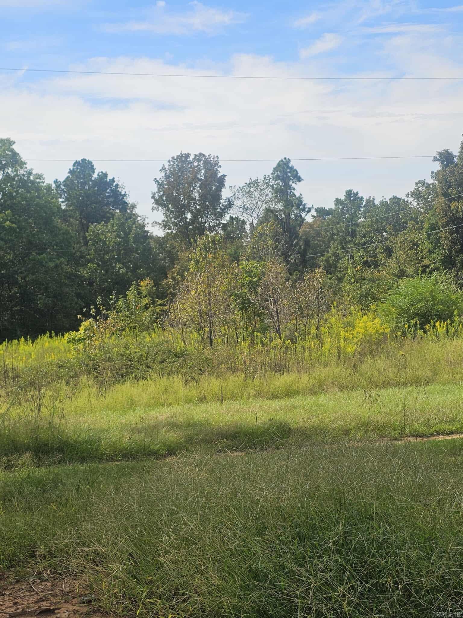 20 Fox Run Lane  Greenbrier, AR