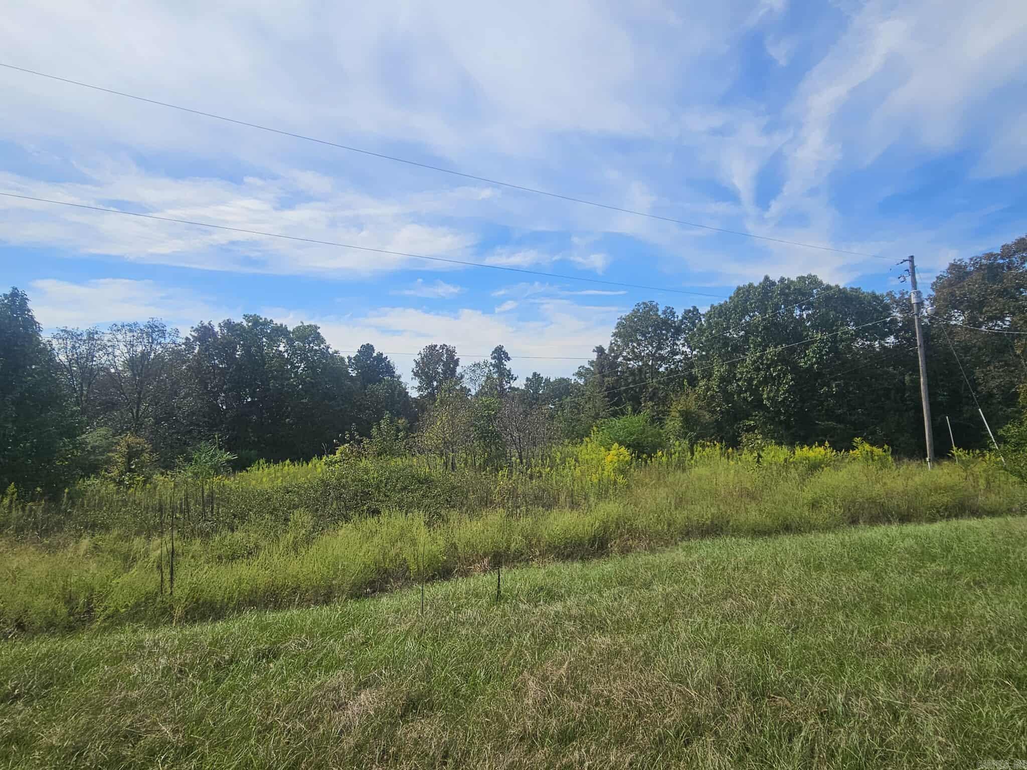 20 Fox Run Lane  Greenbrier, AR