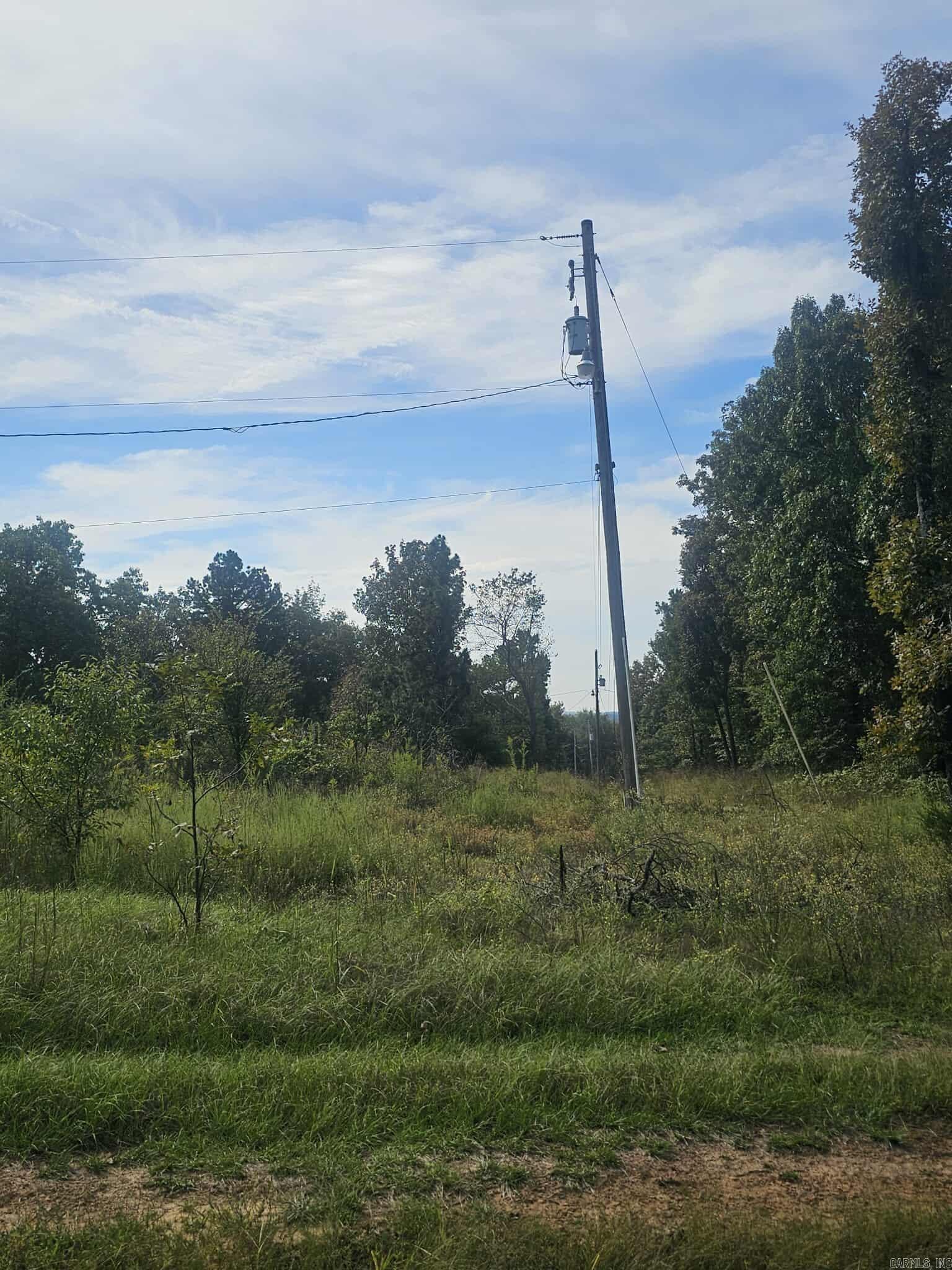 20 Fox Run Lane  Greenbrier, AR