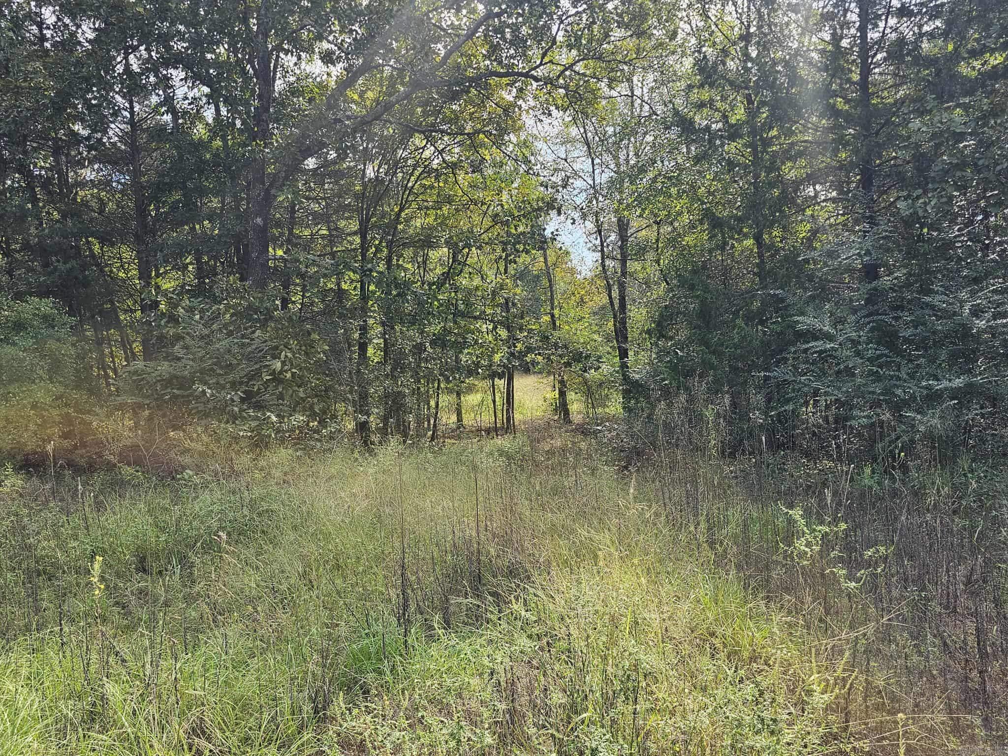 20 Fox Run Lane  Greenbrier, AR