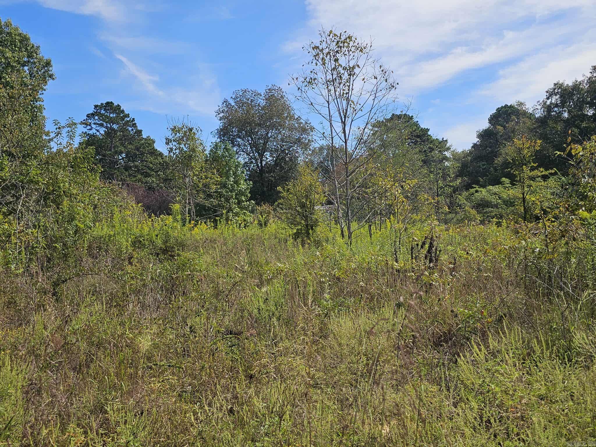 20 Fox Run Lane  Greenbrier, AR