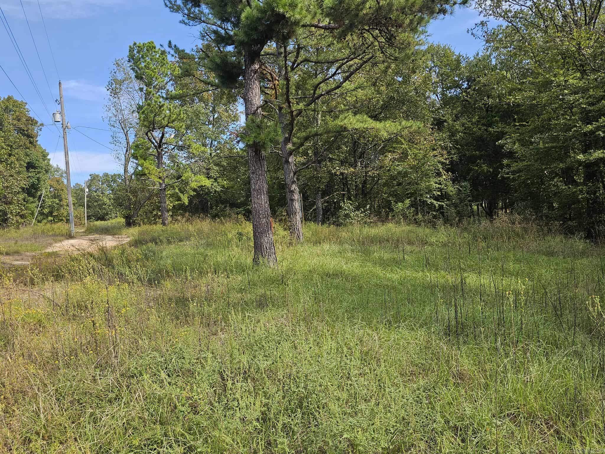 20 Fox Run Lane  Greenbrier, AR