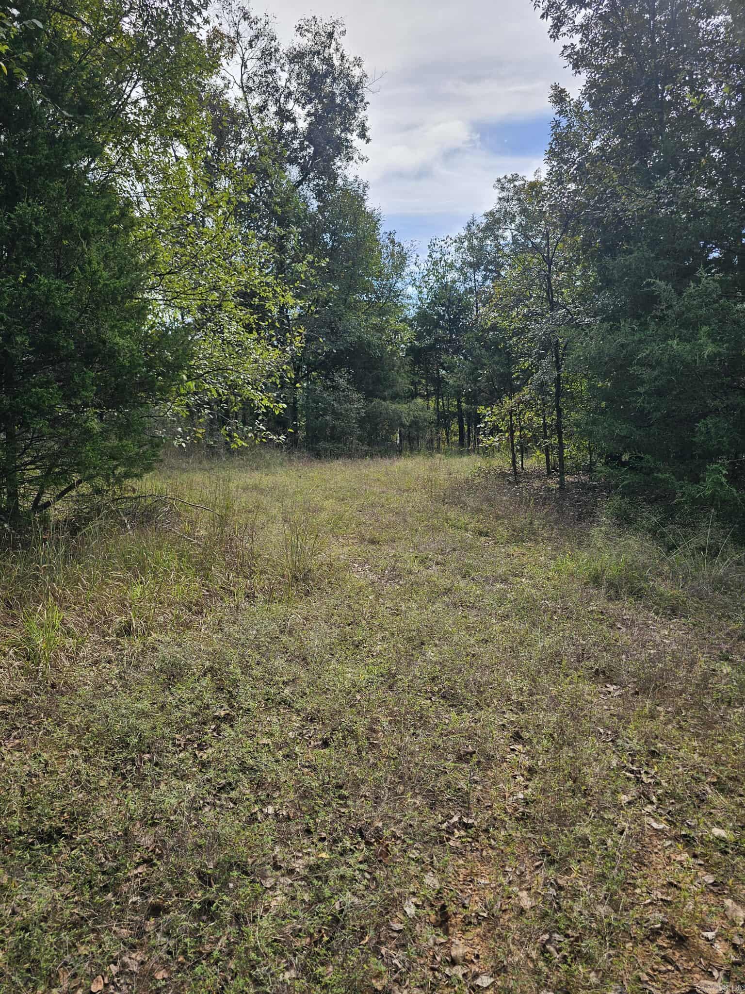 20 Fox Run Lane  Greenbrier, AR