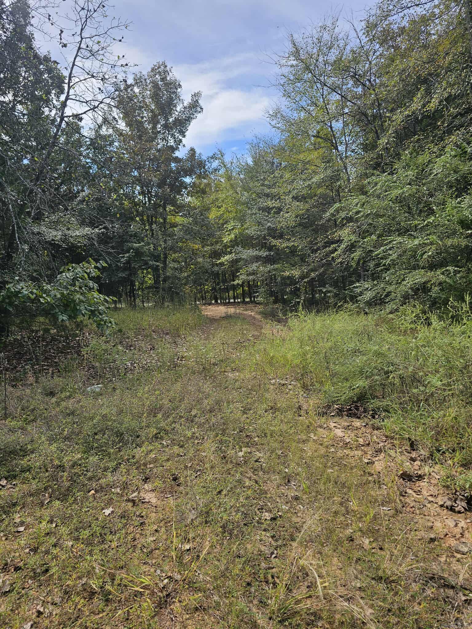 20 Fox Run Lane  Greenbrier, AR