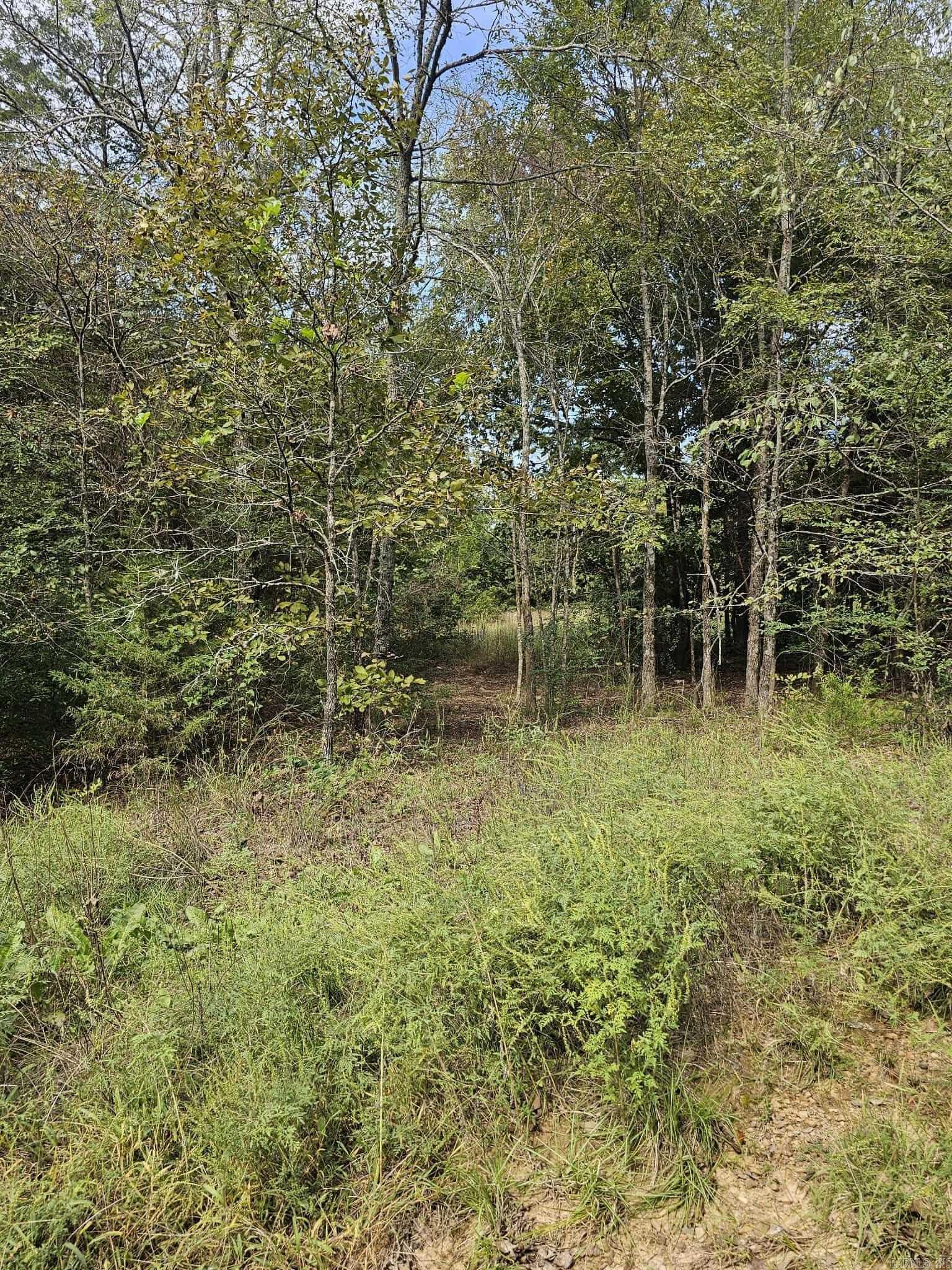 20 Fox Run Lane  Greenbrier, AR