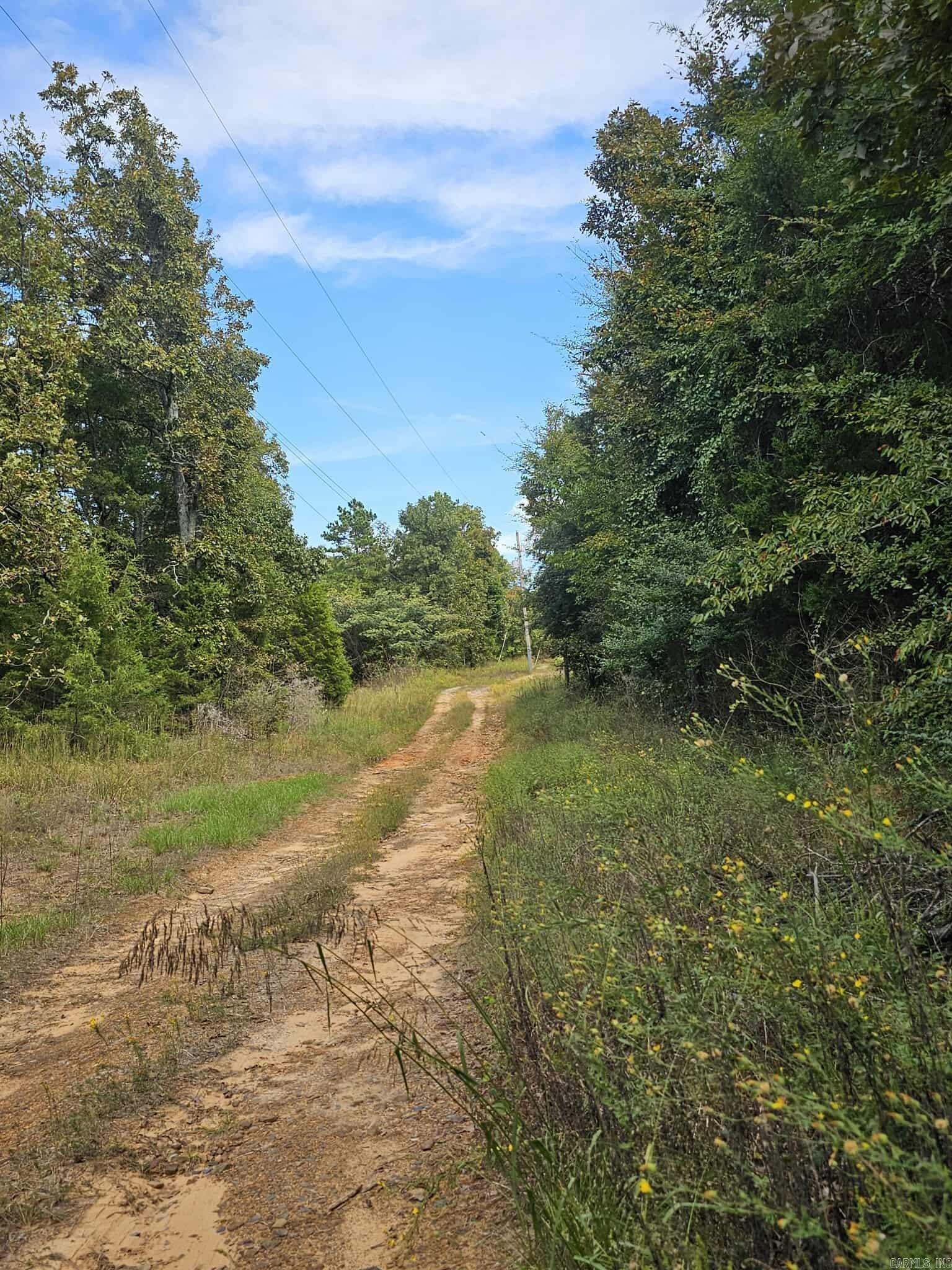 20 Fox Run Lane  Greenbrier, AR