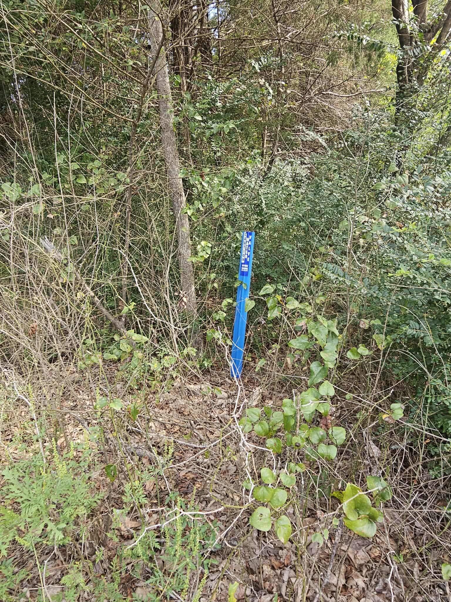 20 Fox Run Lane  Greenbrier, AR