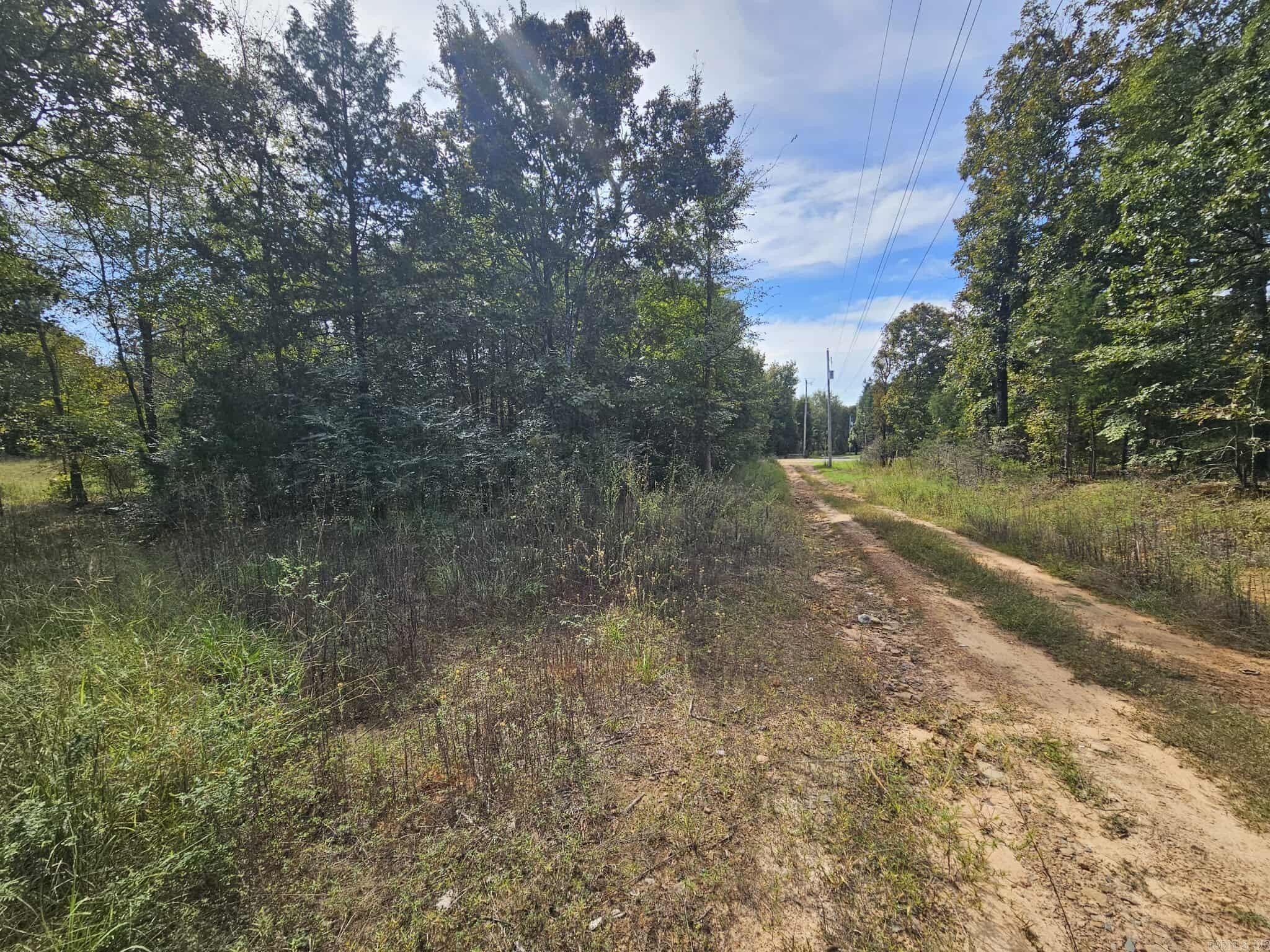 20 Fox Run Lane  Greenbrier, AR