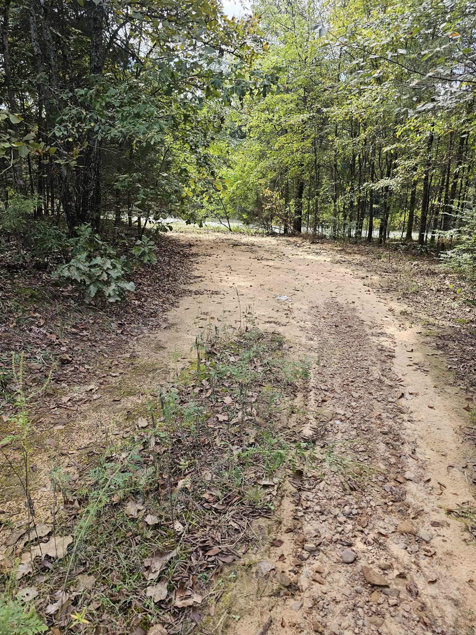 20 Fox Run Lane  Greenbrier, AR