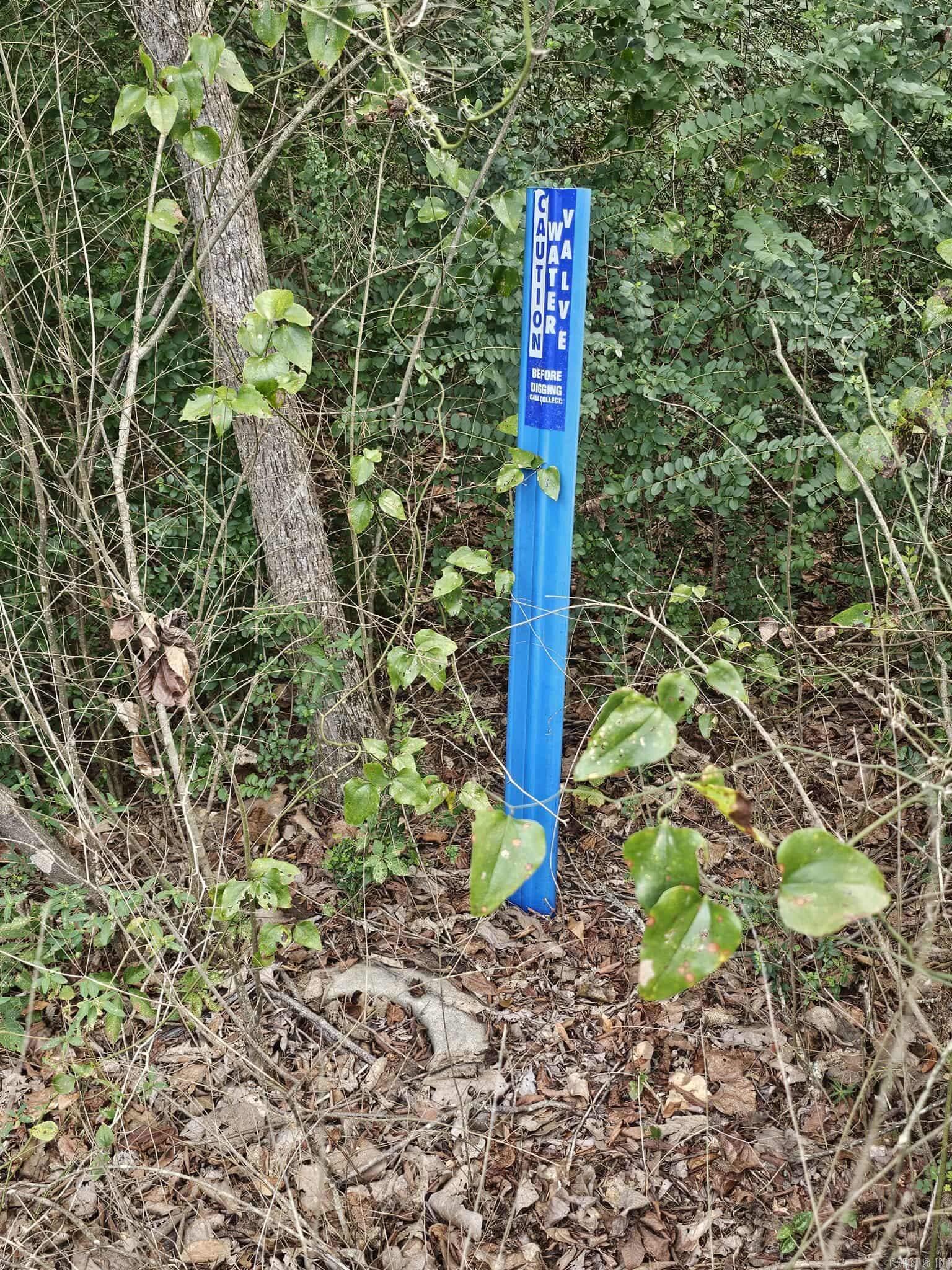 20 Fox Run Lane  Greenbrier, AR