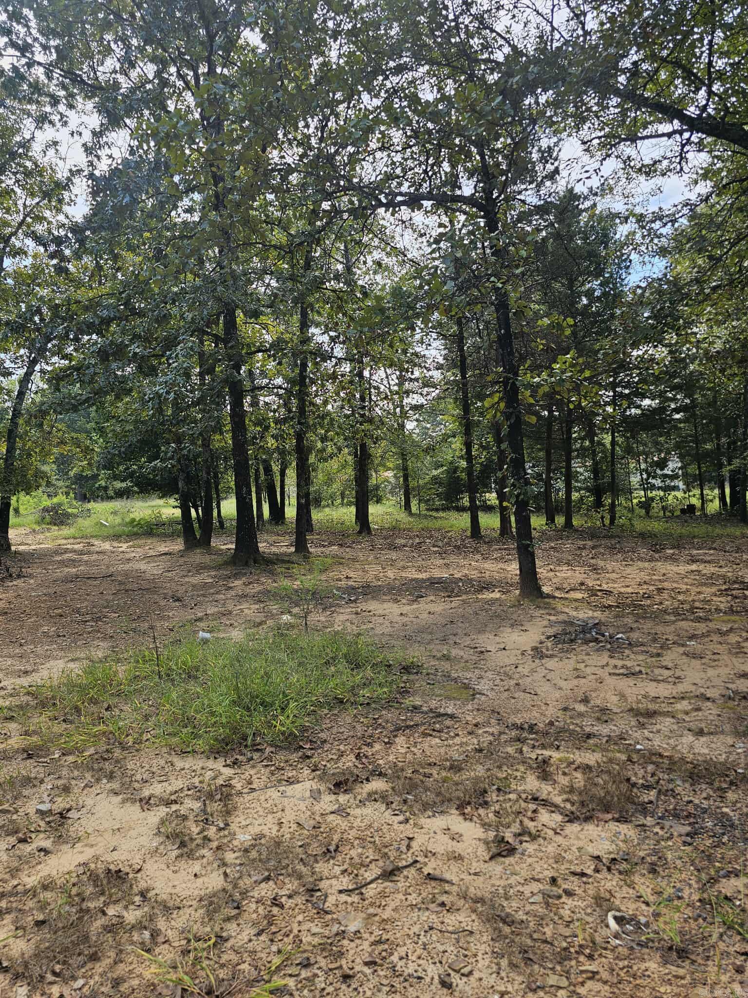 20 Fox Run Lane  Greenbrier, AR