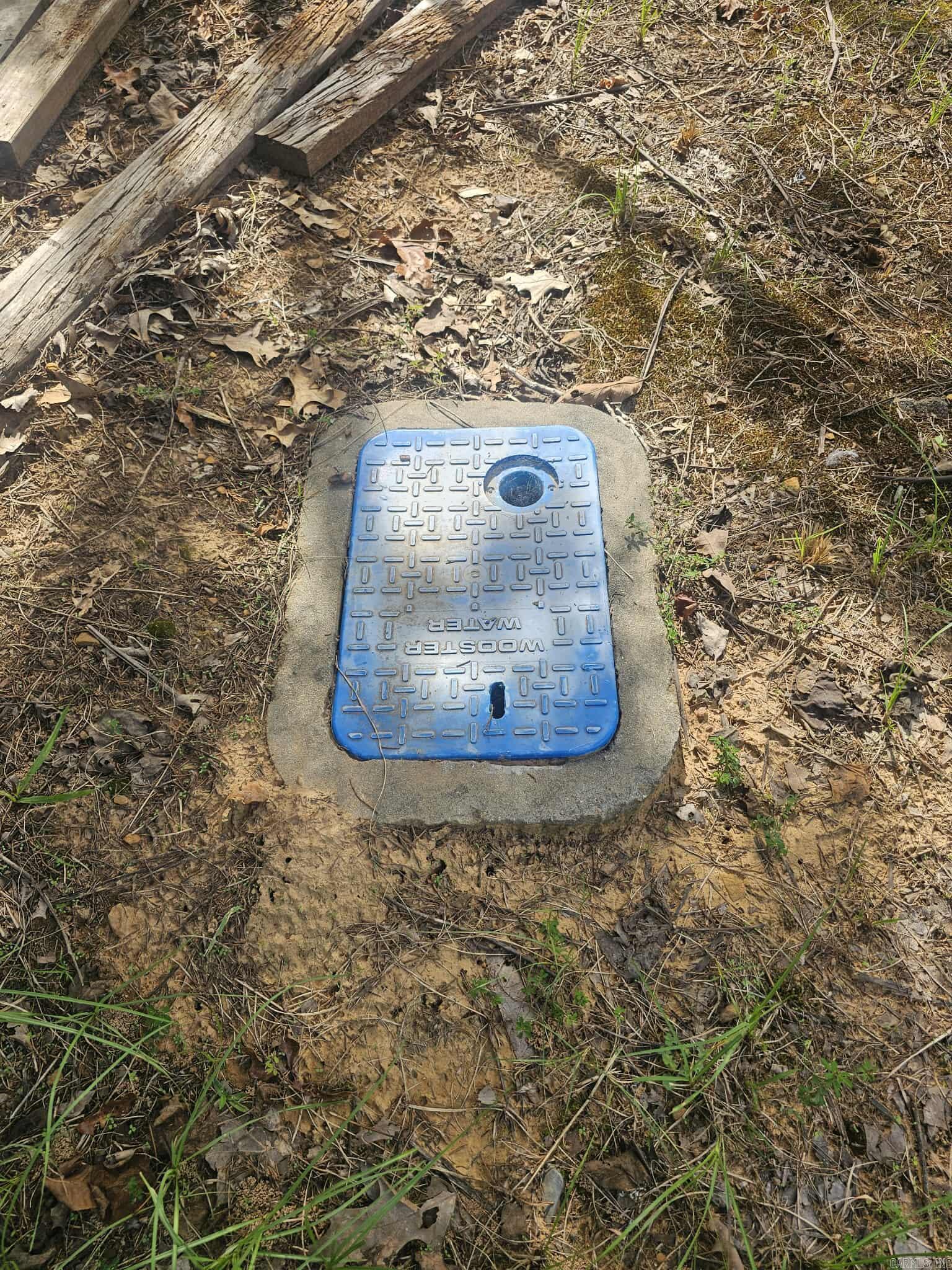 20 Fox Run Lane  Greenbrier, AR