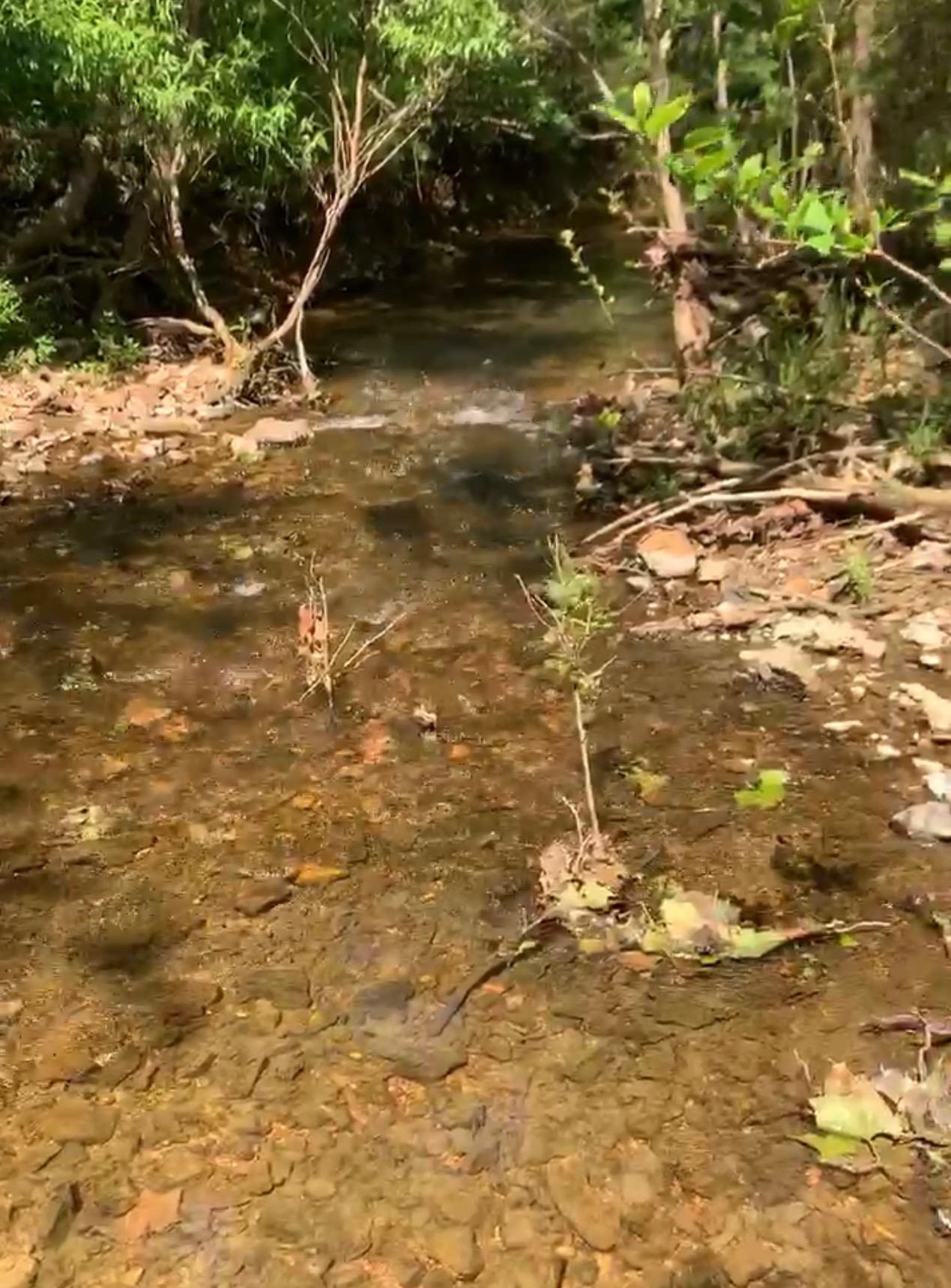 3013-3015 Possum Trot  Ash Flat, AR